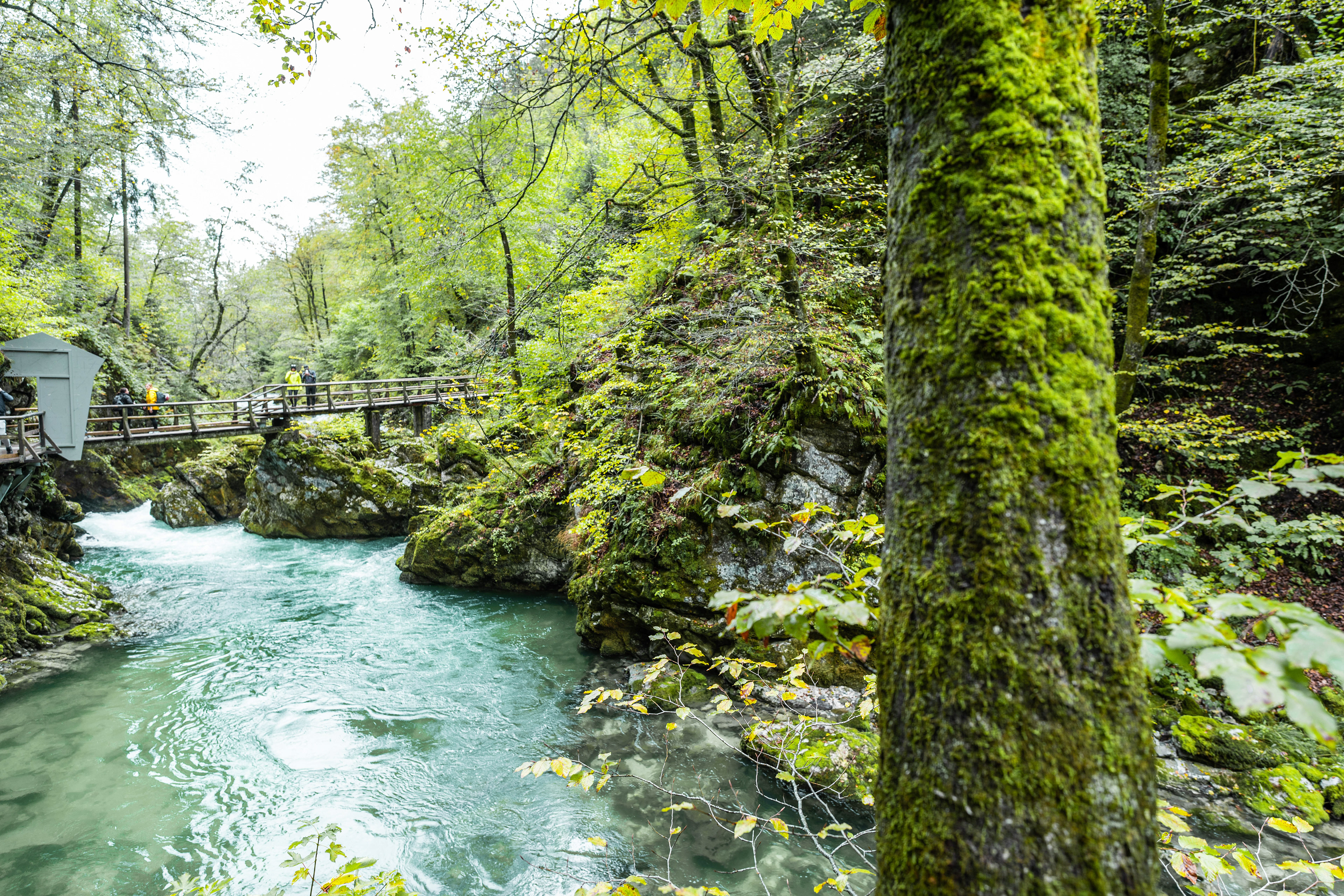 Vintgar Gorge