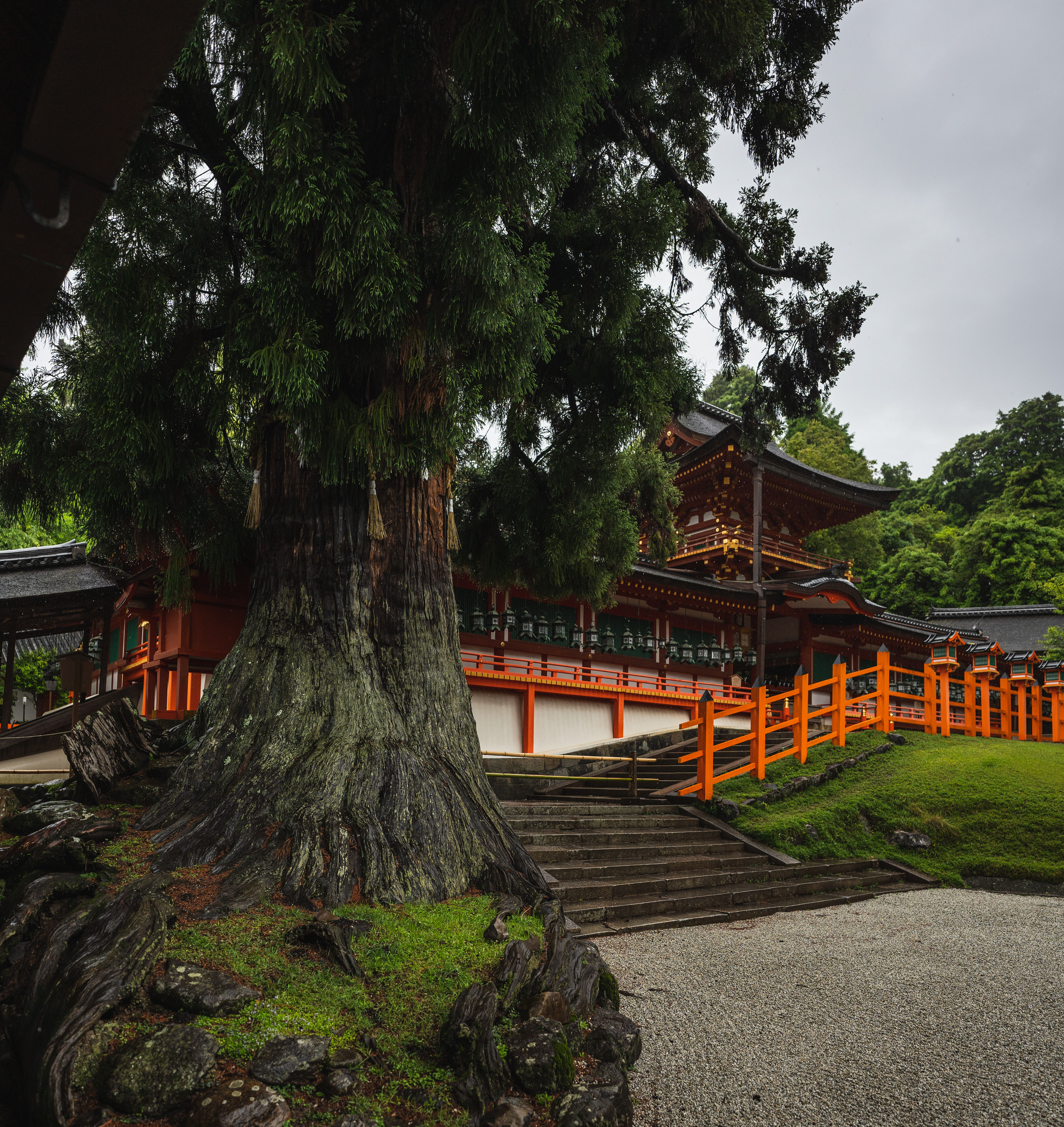 Nara