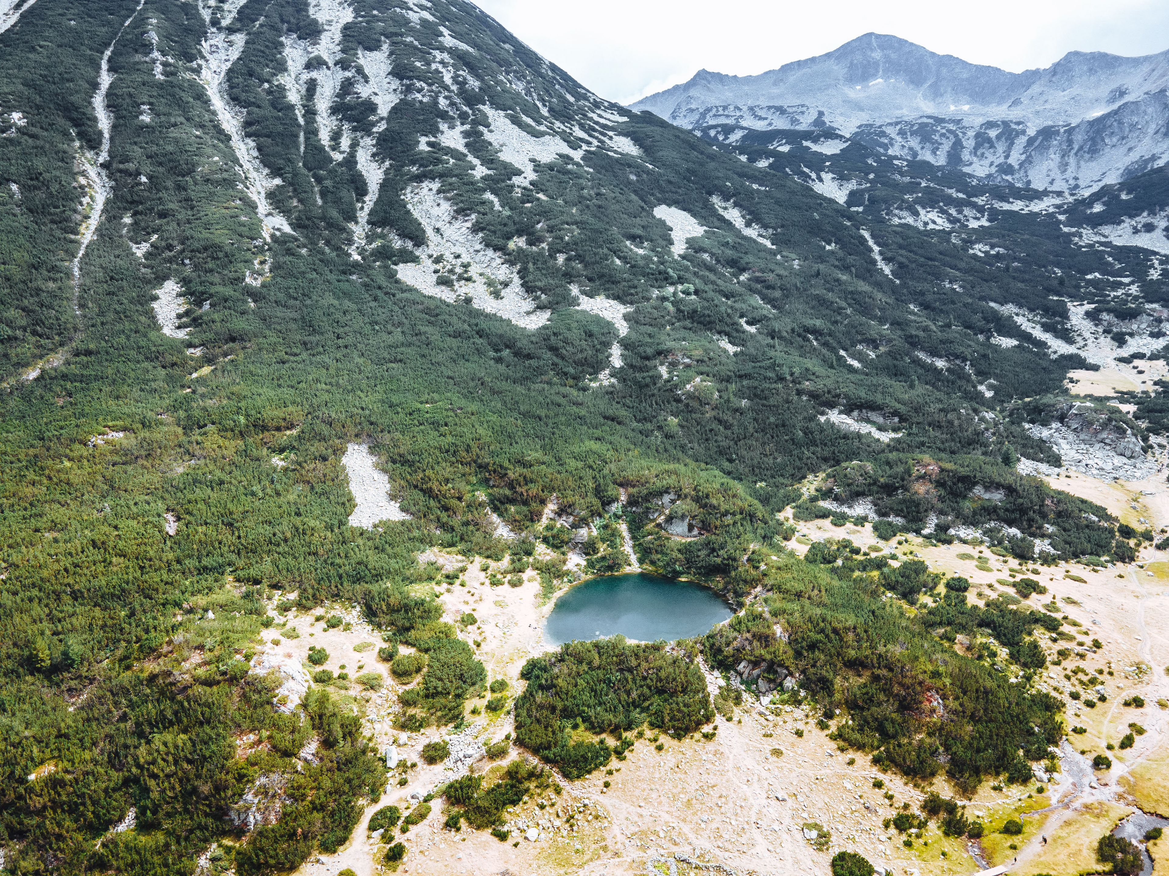 Pirin National Park