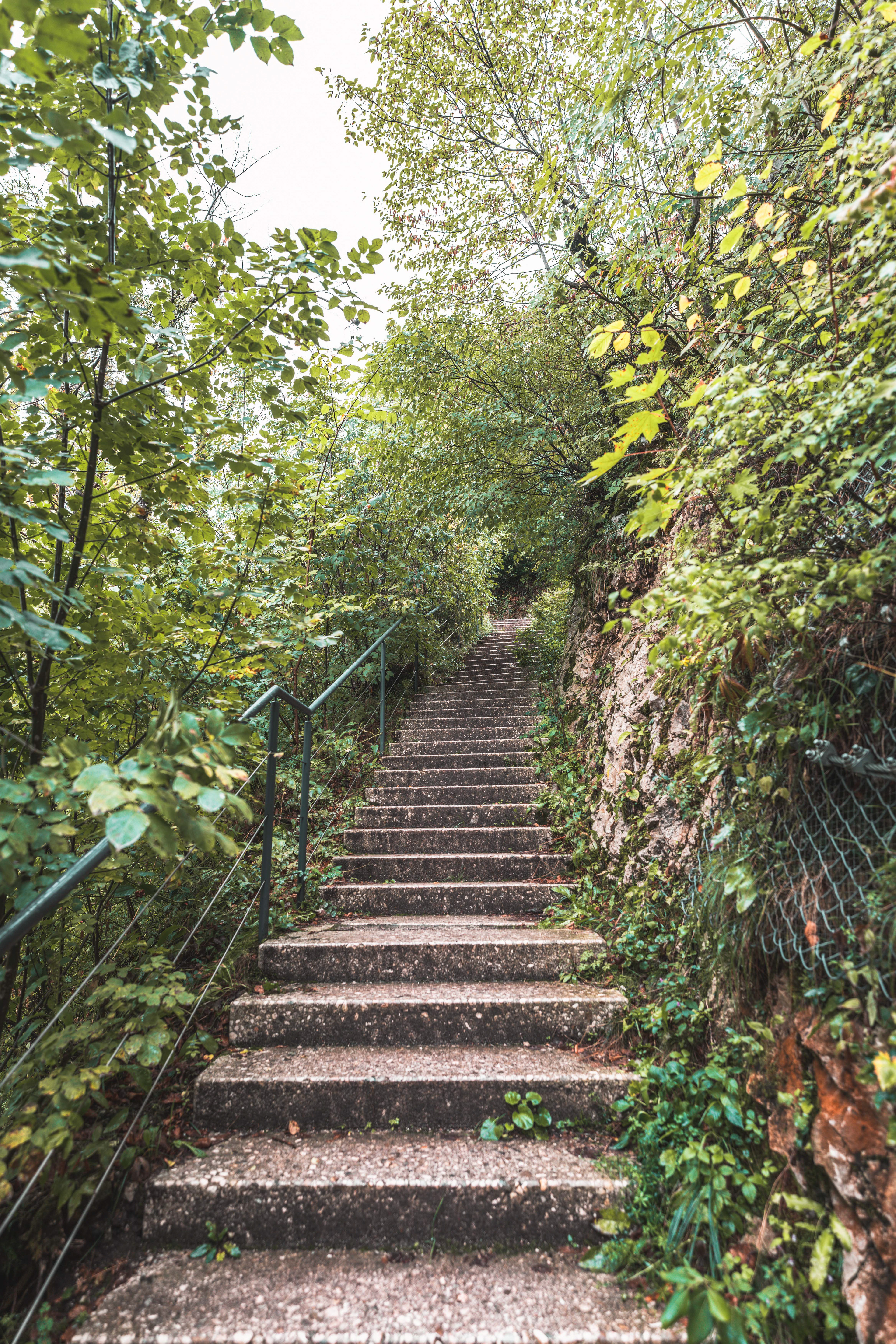 Hike up to Bled Castle