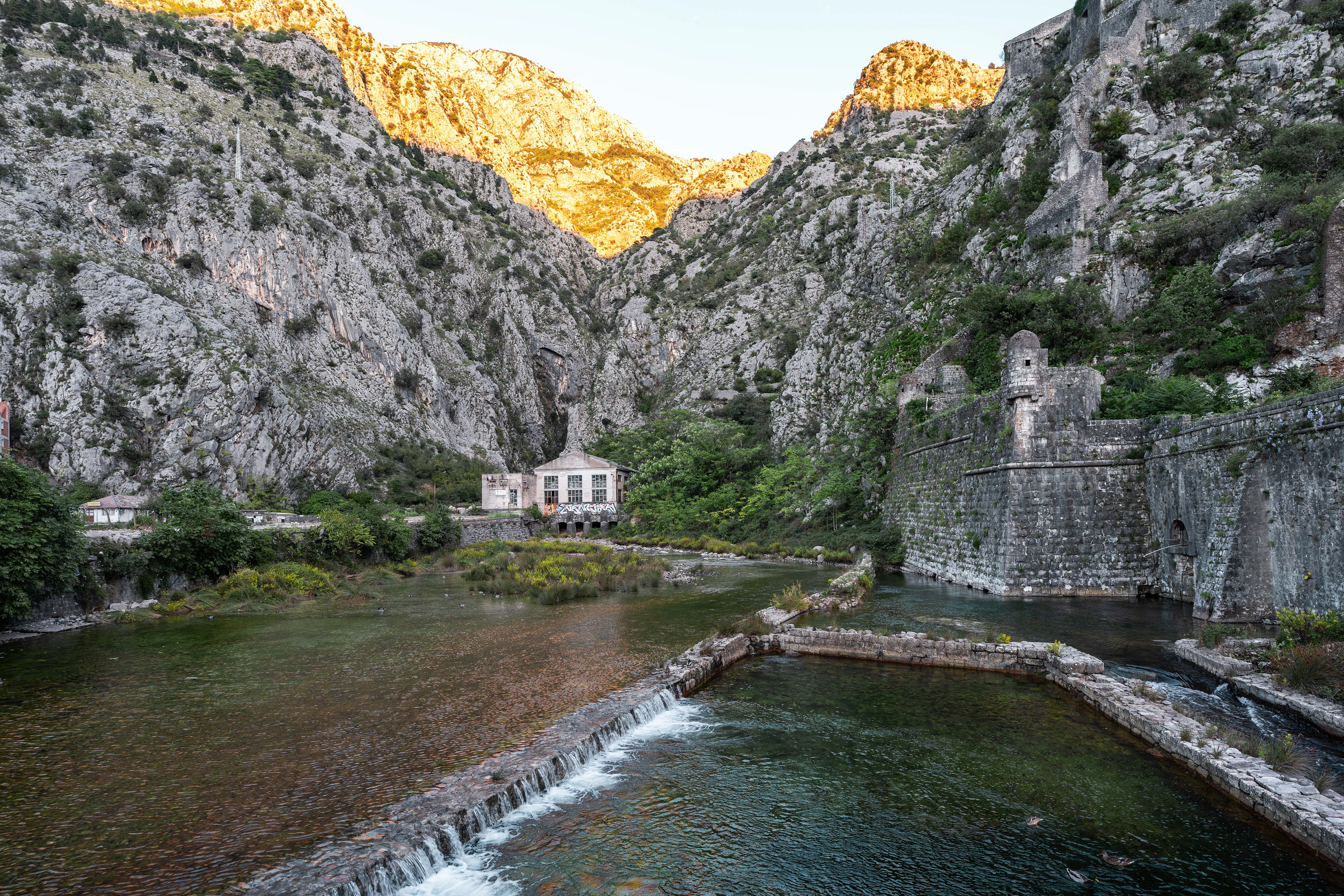 Kotor