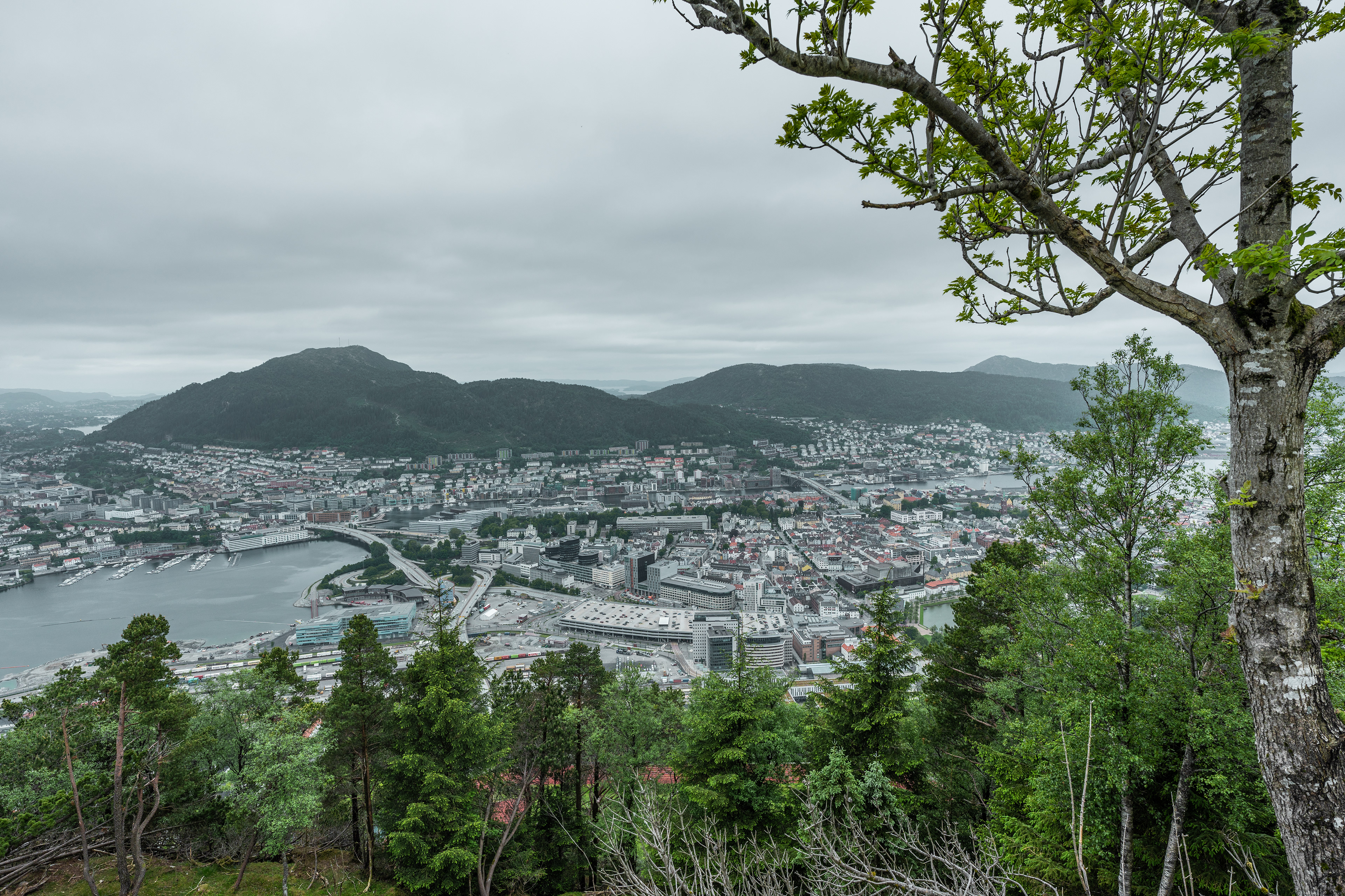 View of Bergen