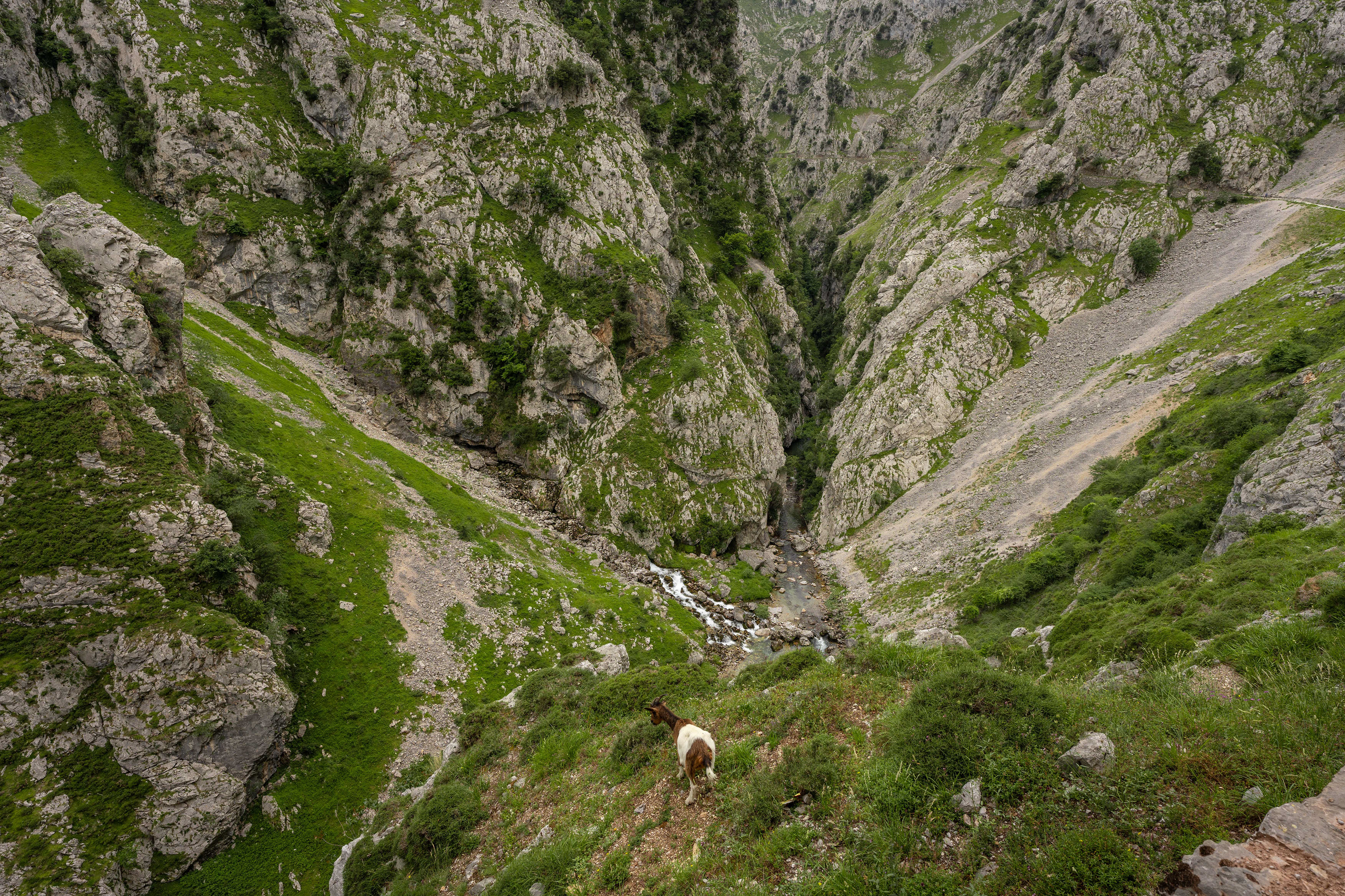 Los Picos de Europa