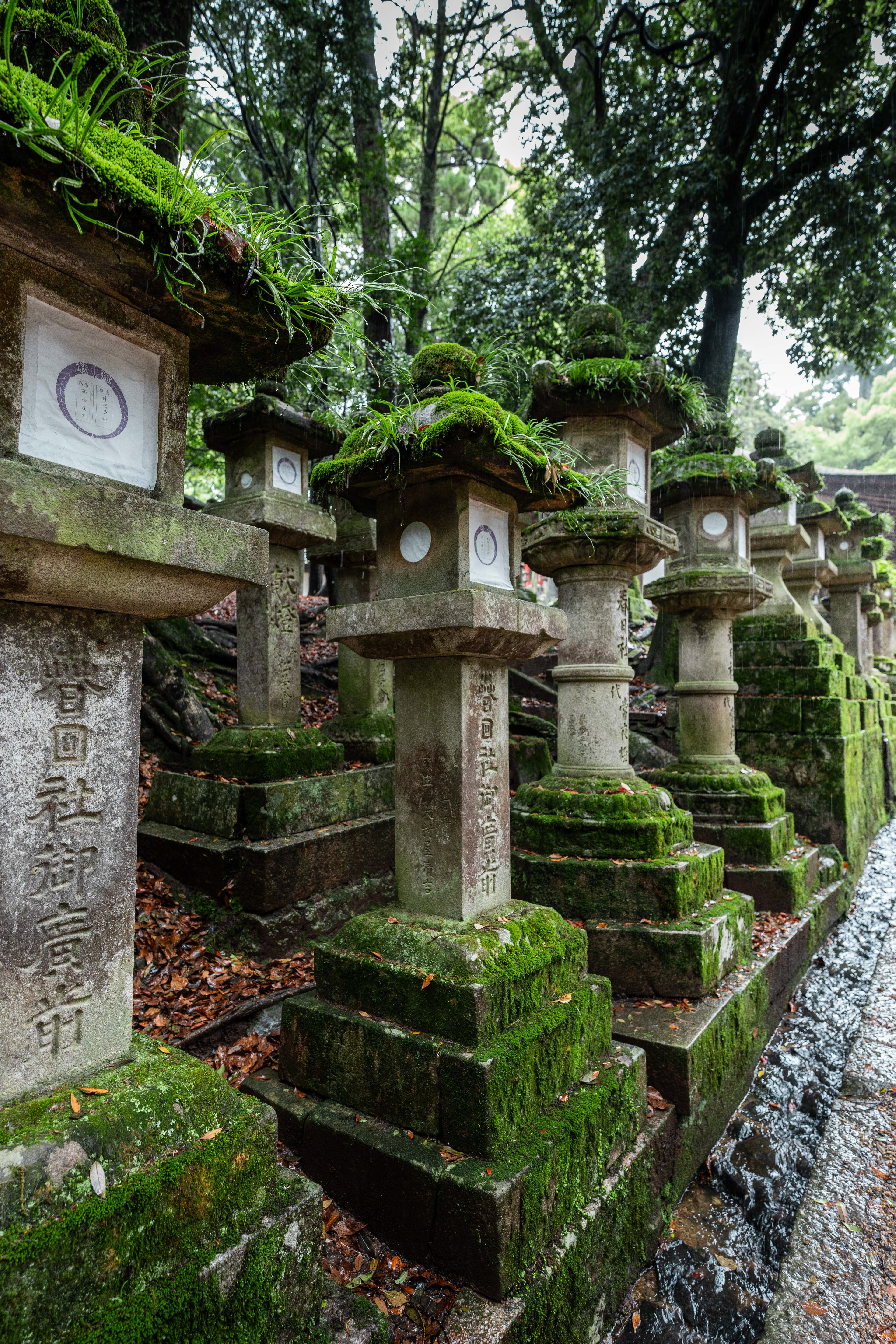 Nara