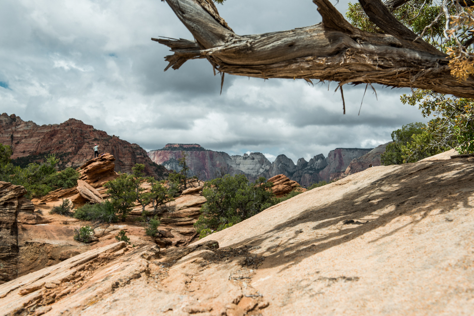Zion National Park, UT