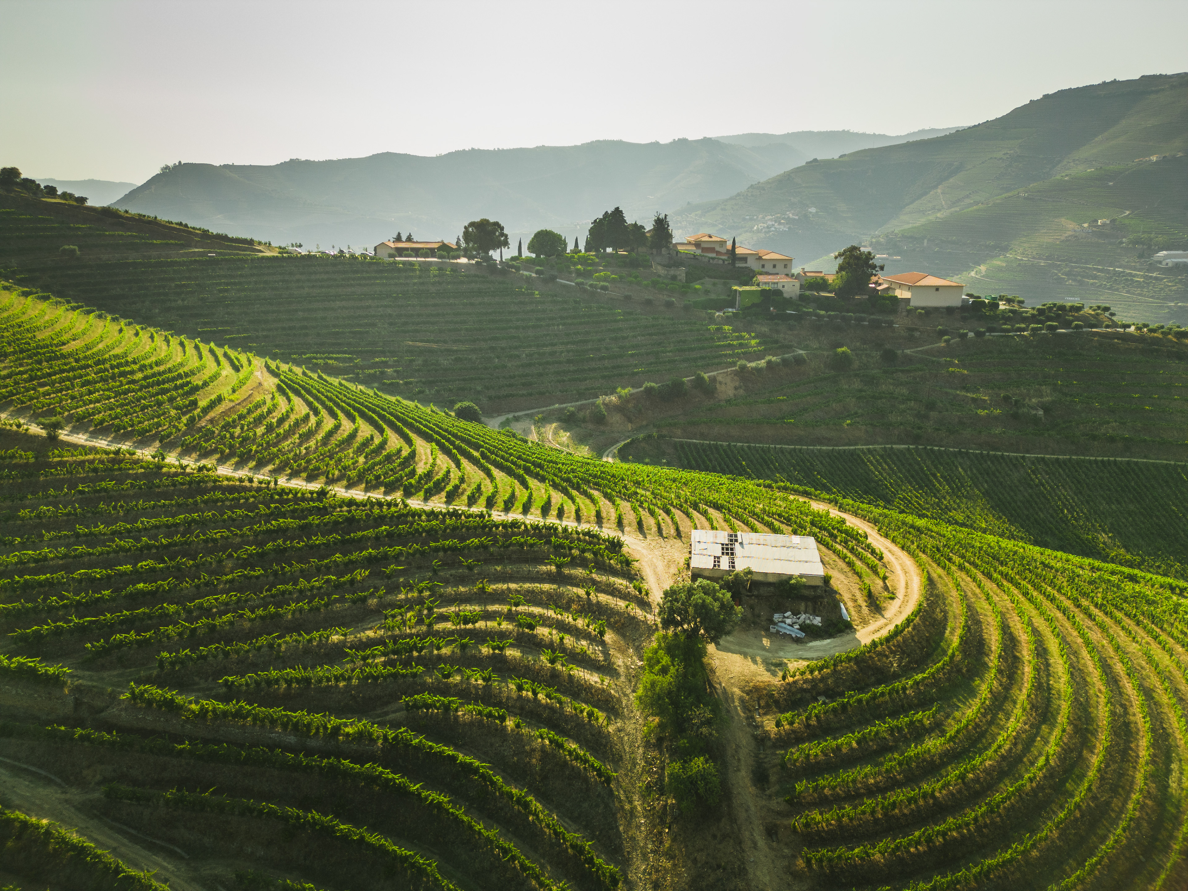 Douro Valley