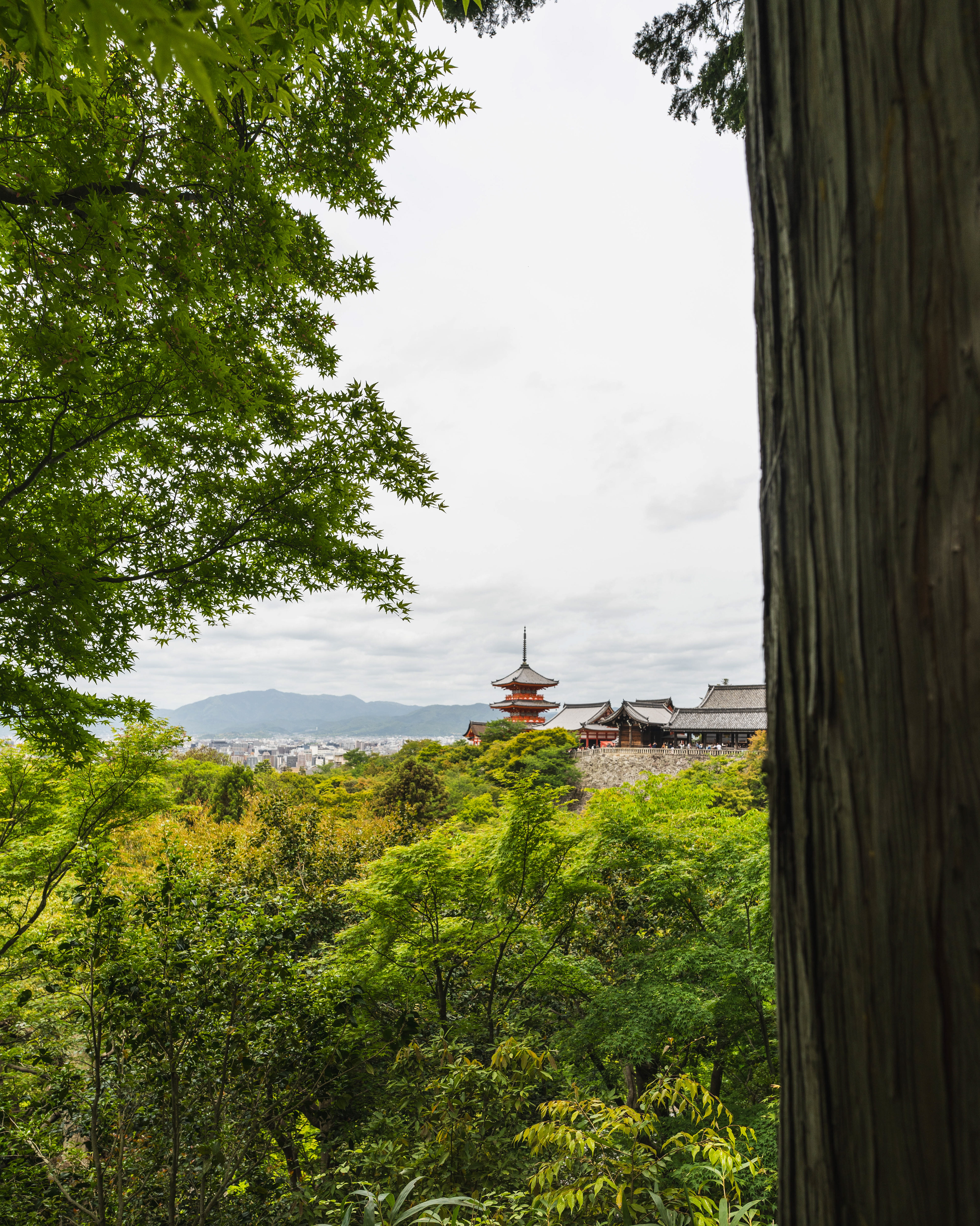 Kyoto