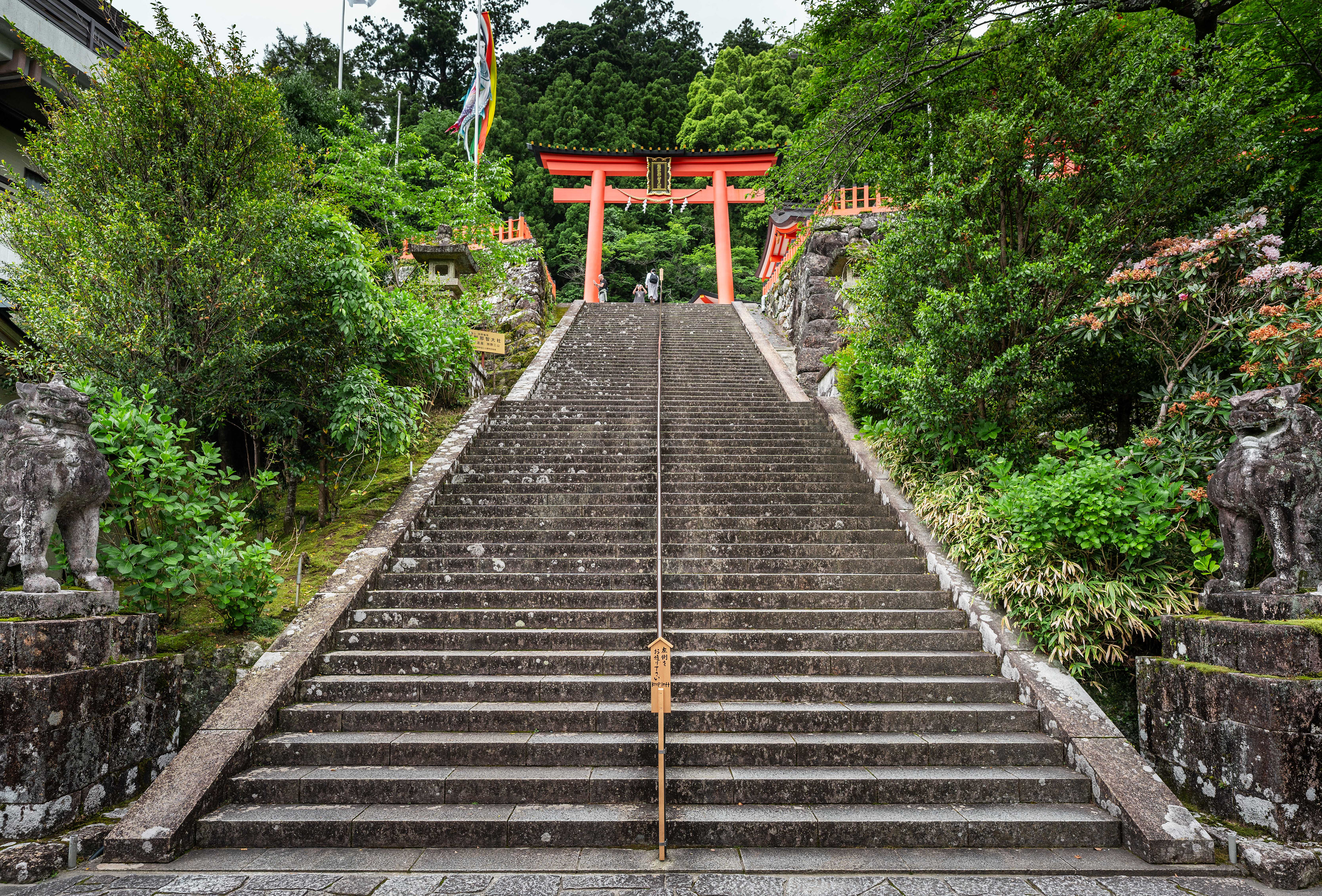 Nachisan