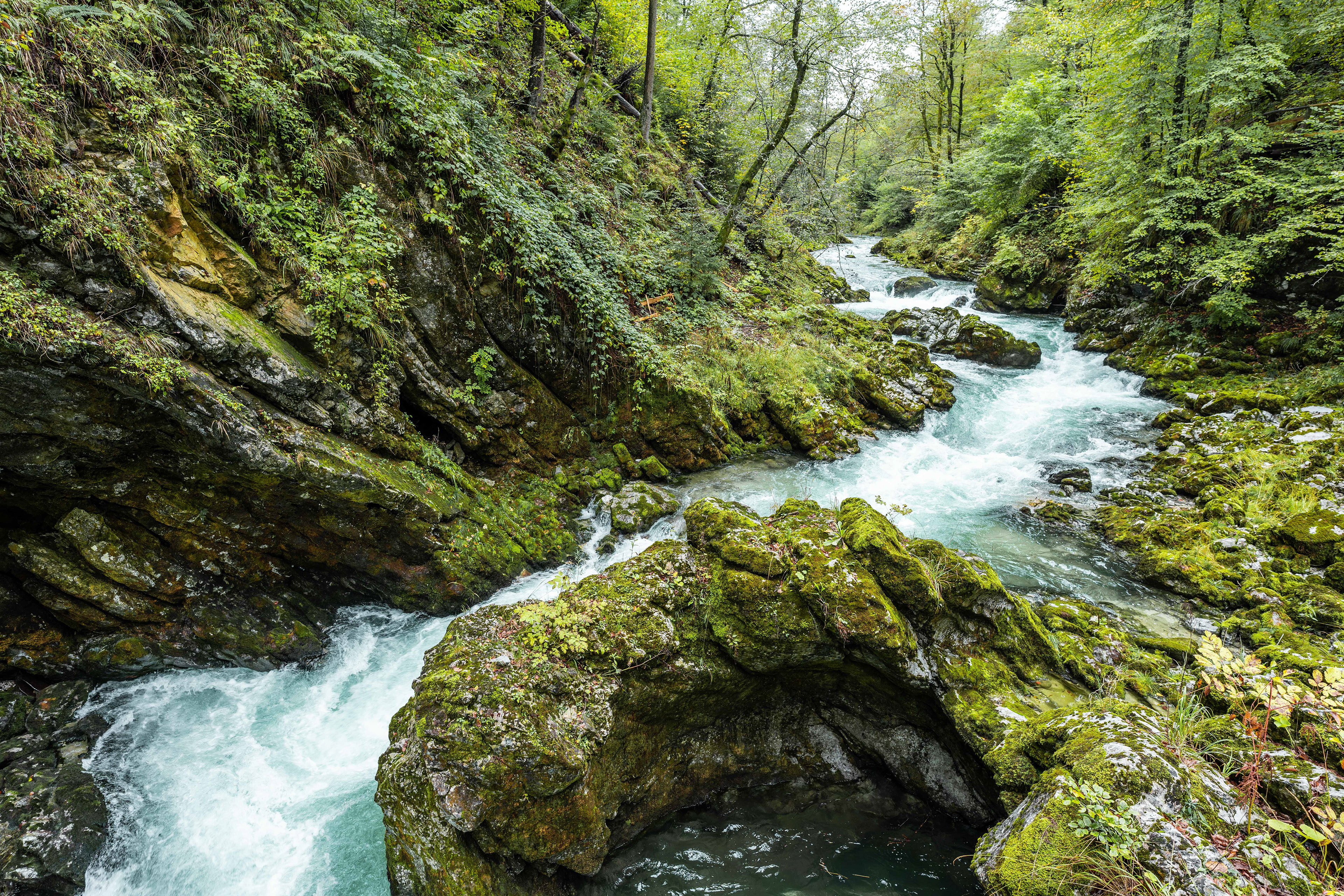 Vintgar Gorge