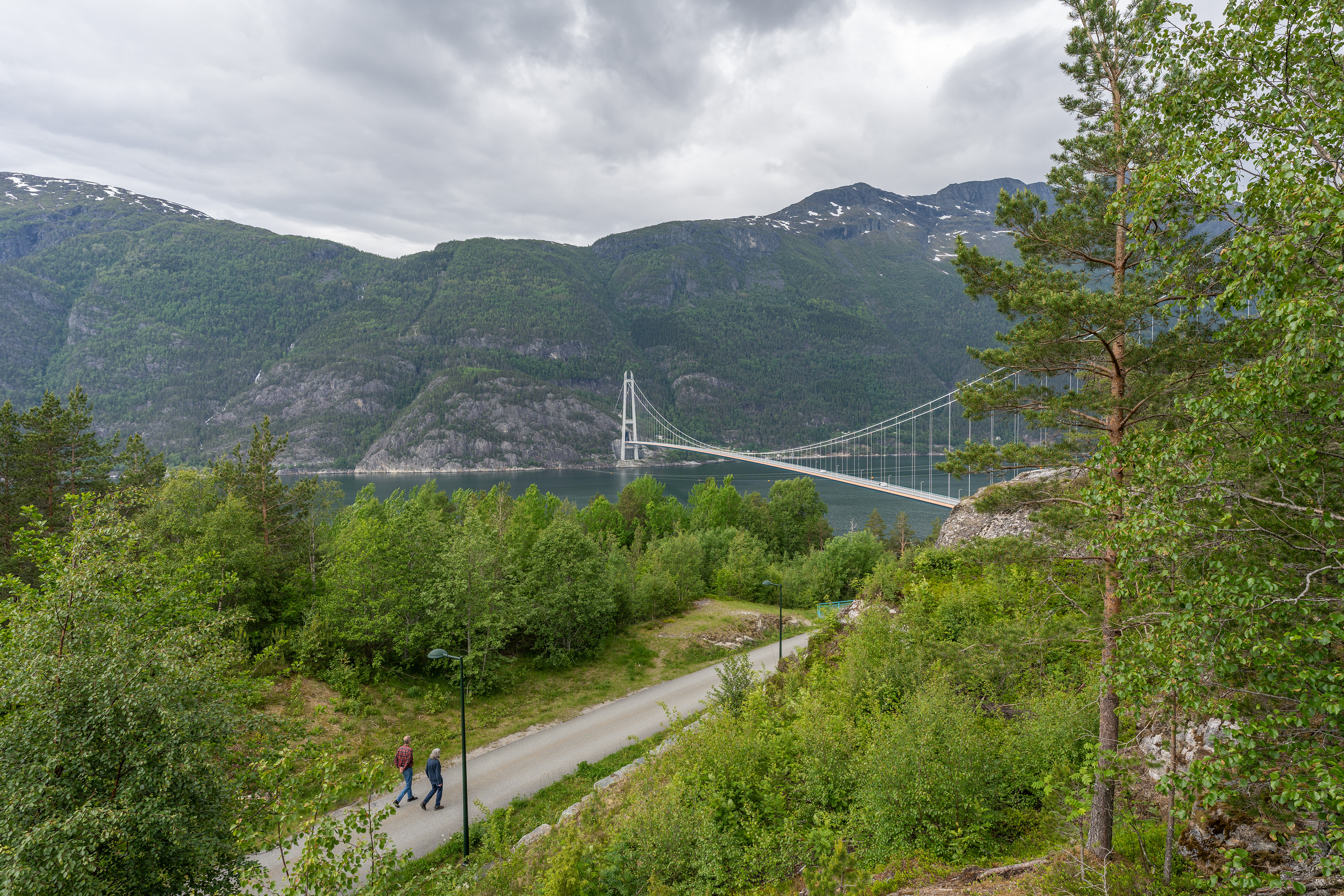 The bridge from the viewing point