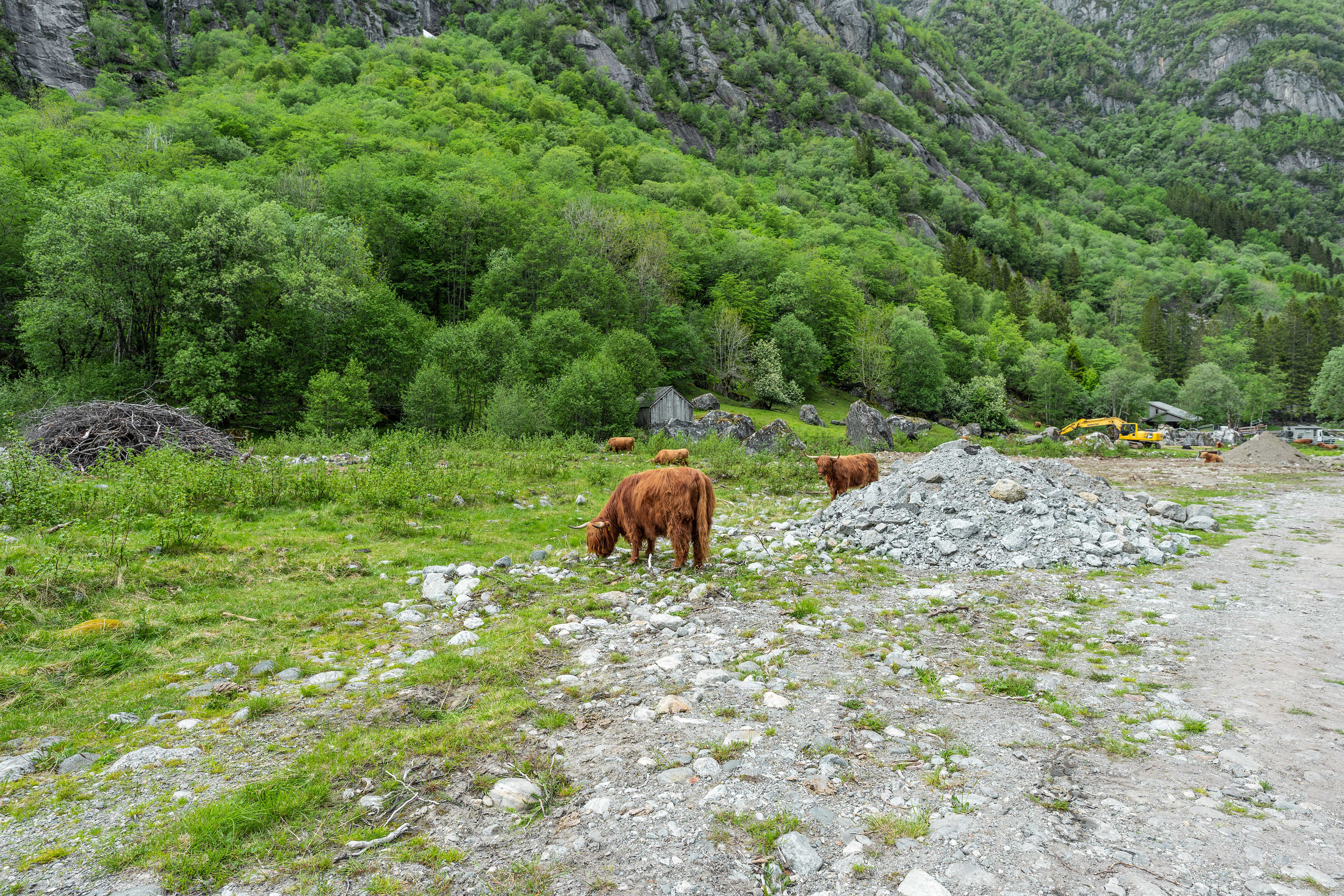 Base of the trail