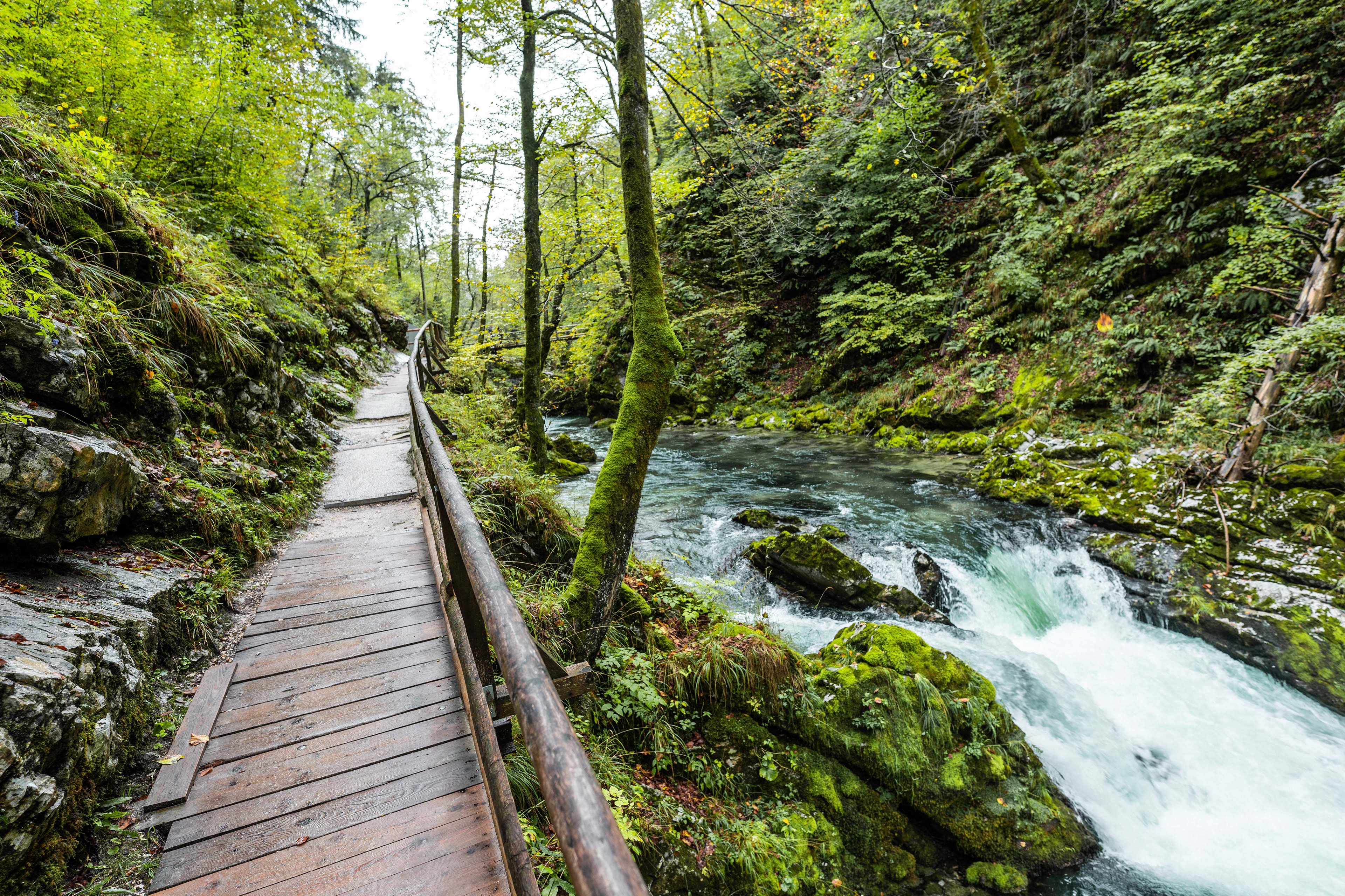 Vintgar Gorge