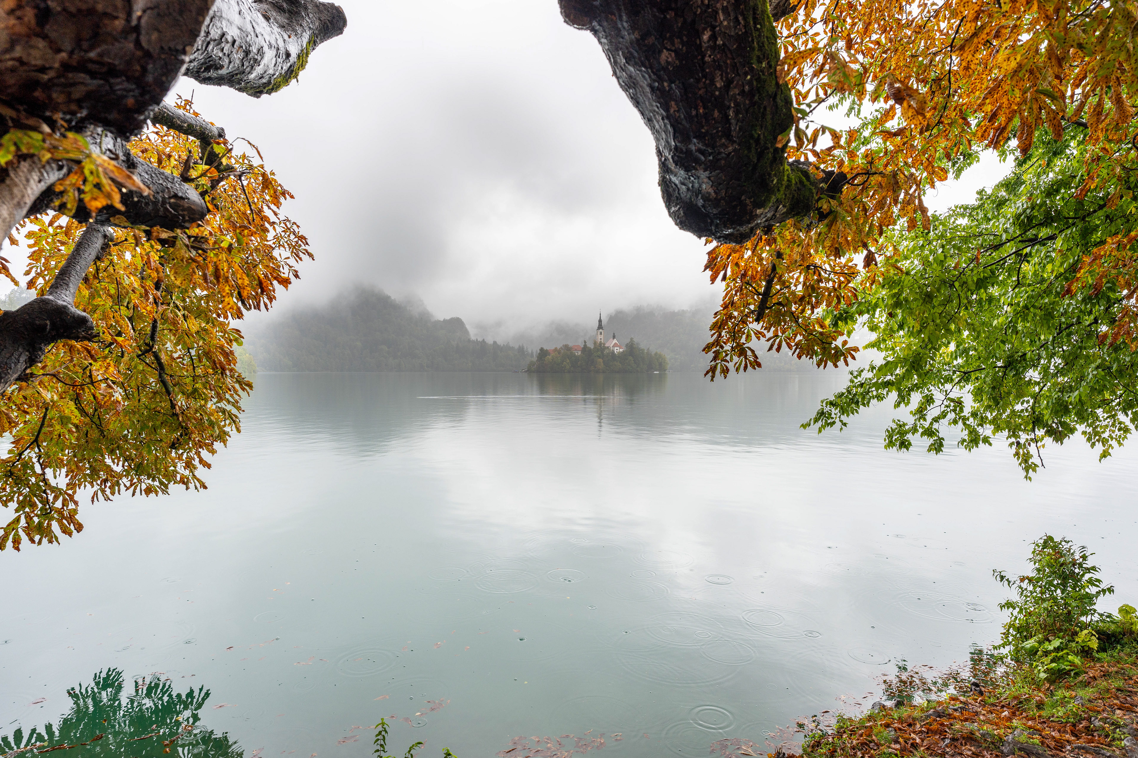 lake bled and the iconic island surrounded by falls colors