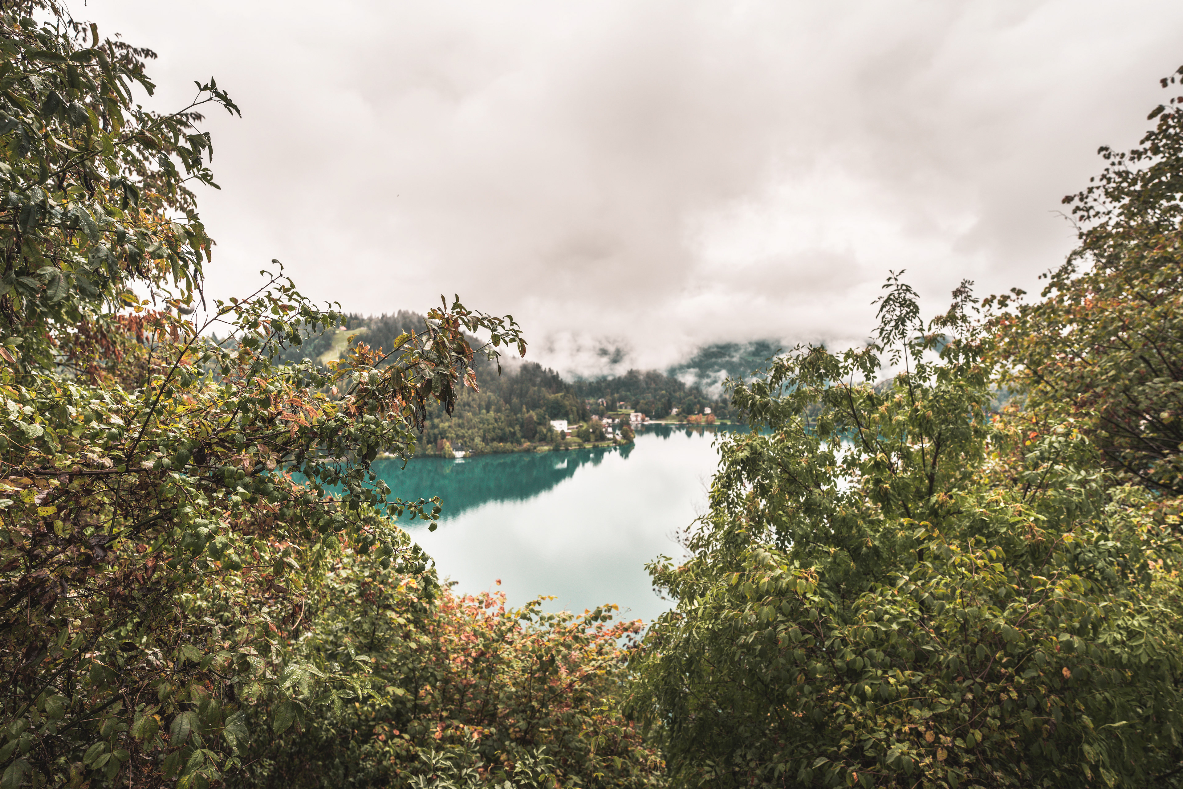 View from Bled Castle