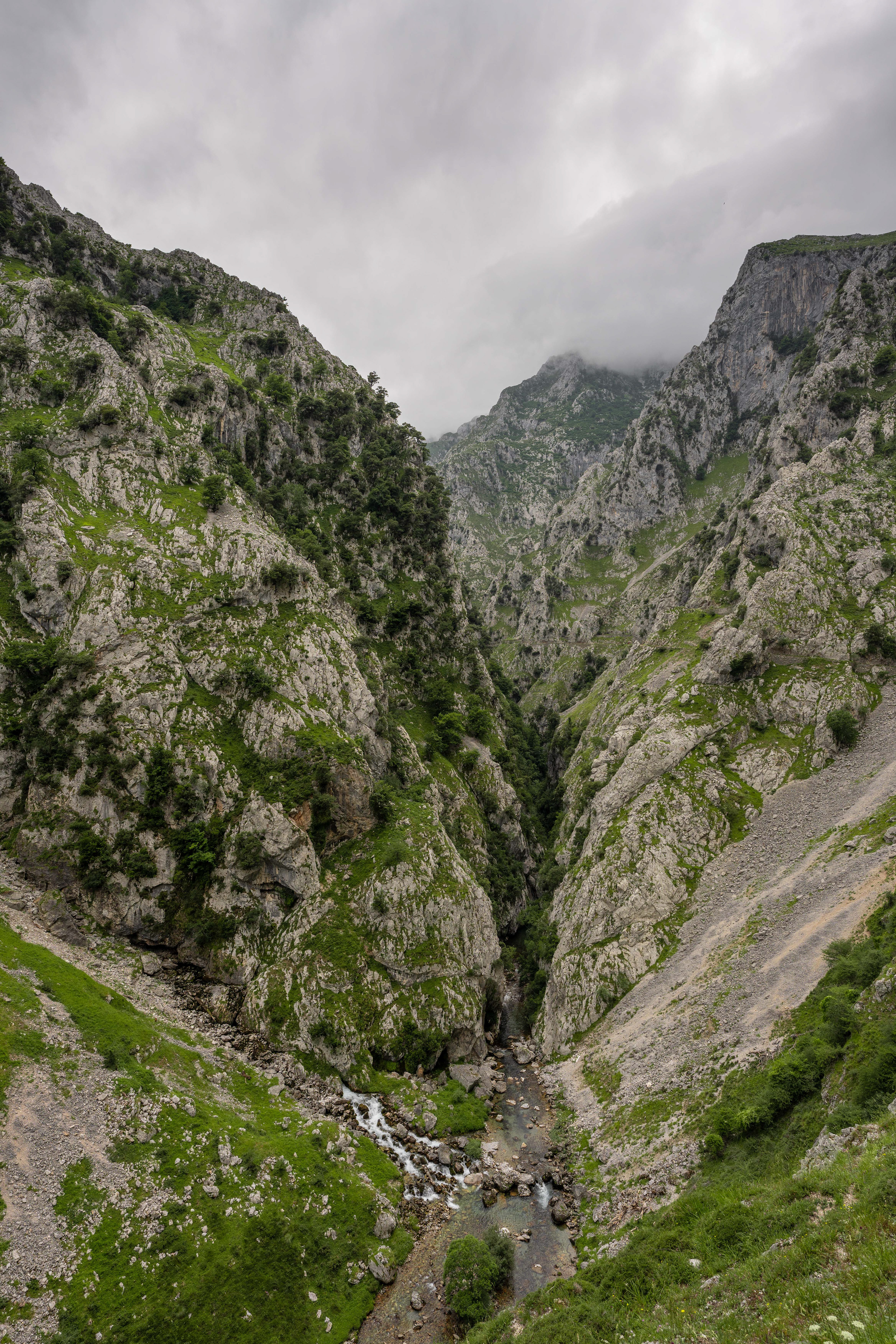 Los Picos de Europa