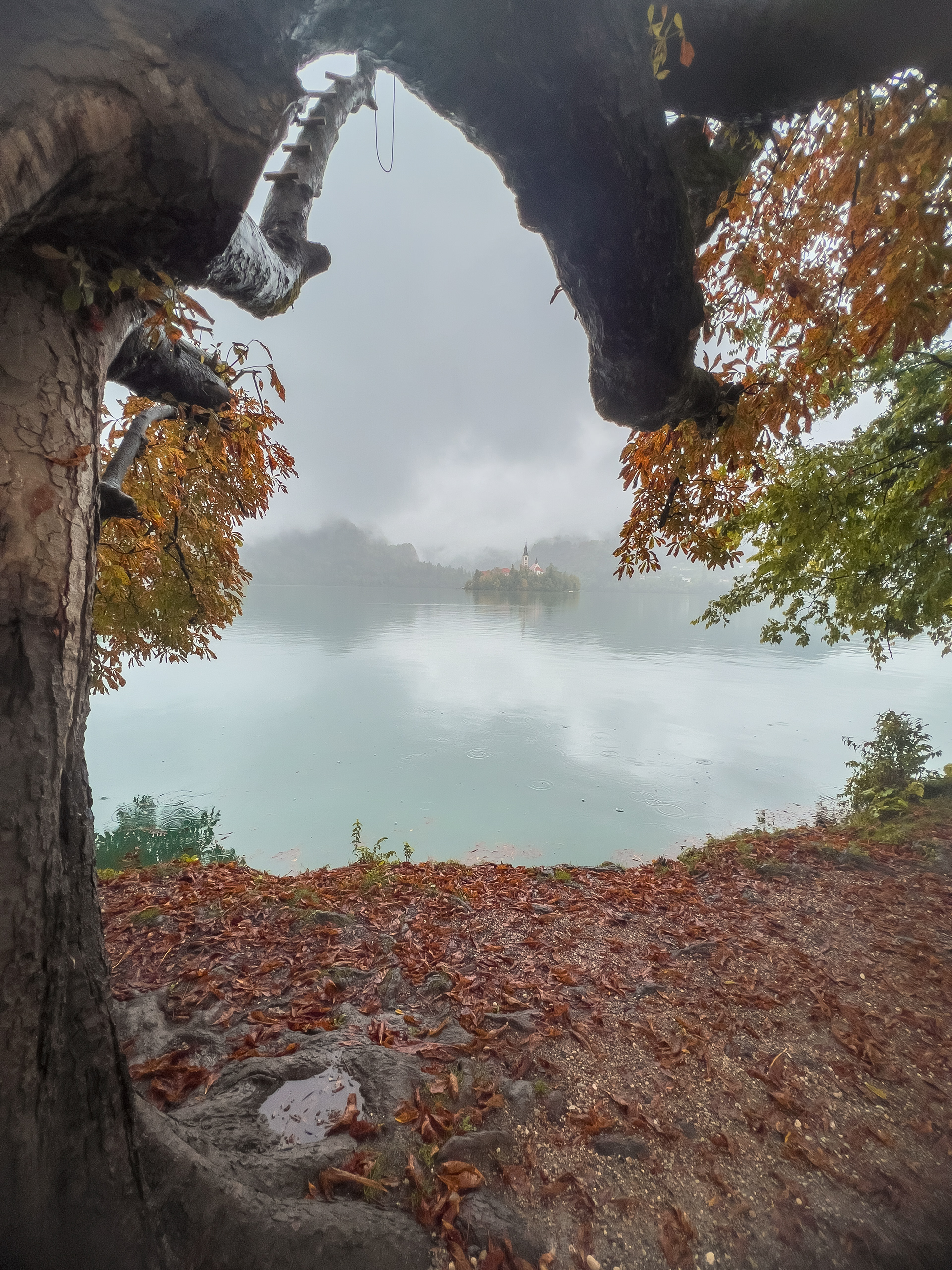 Lake Bled