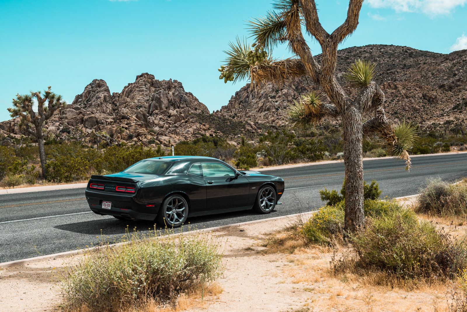 Joshua Tree National Park, CA