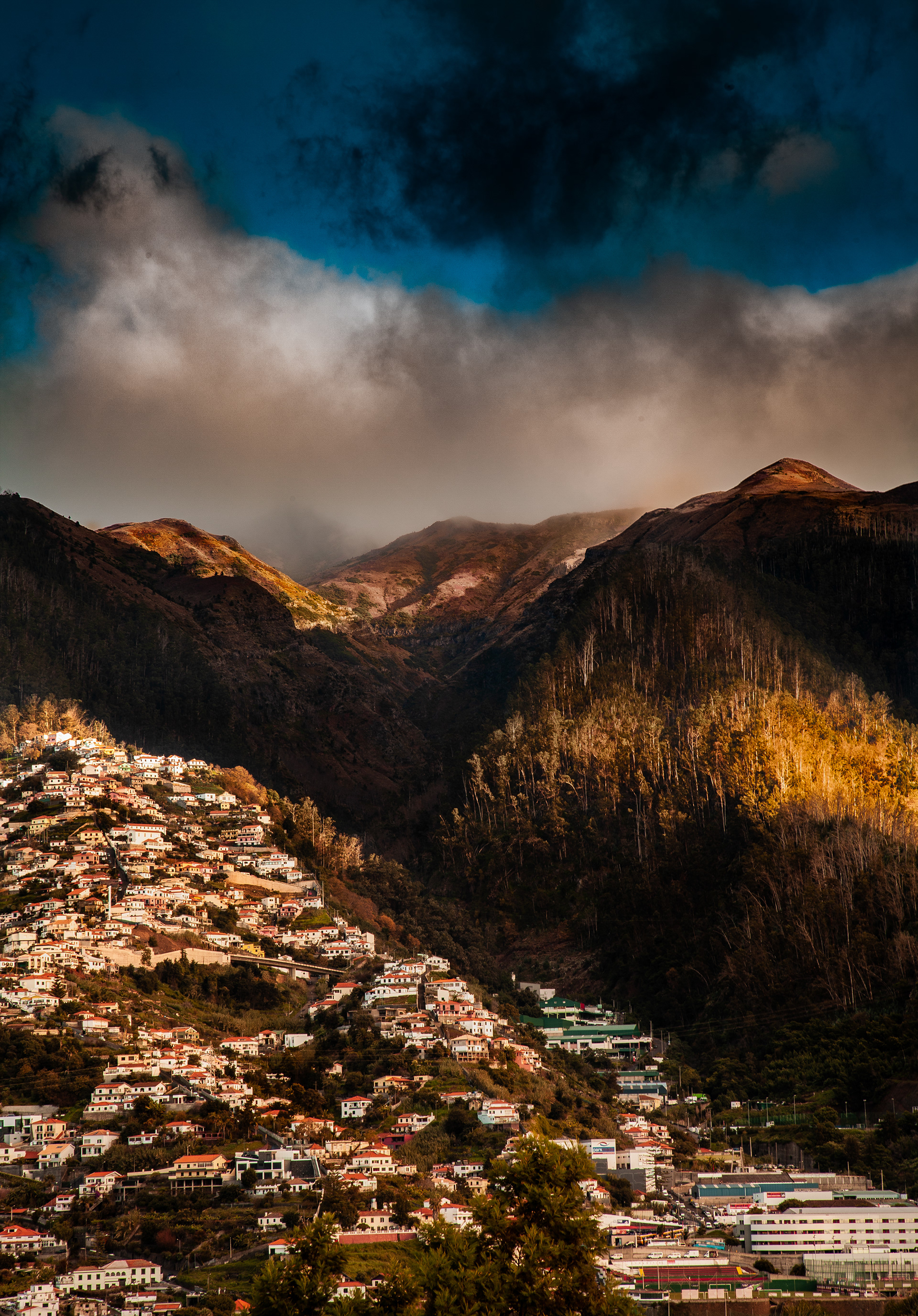 Madeira Hills