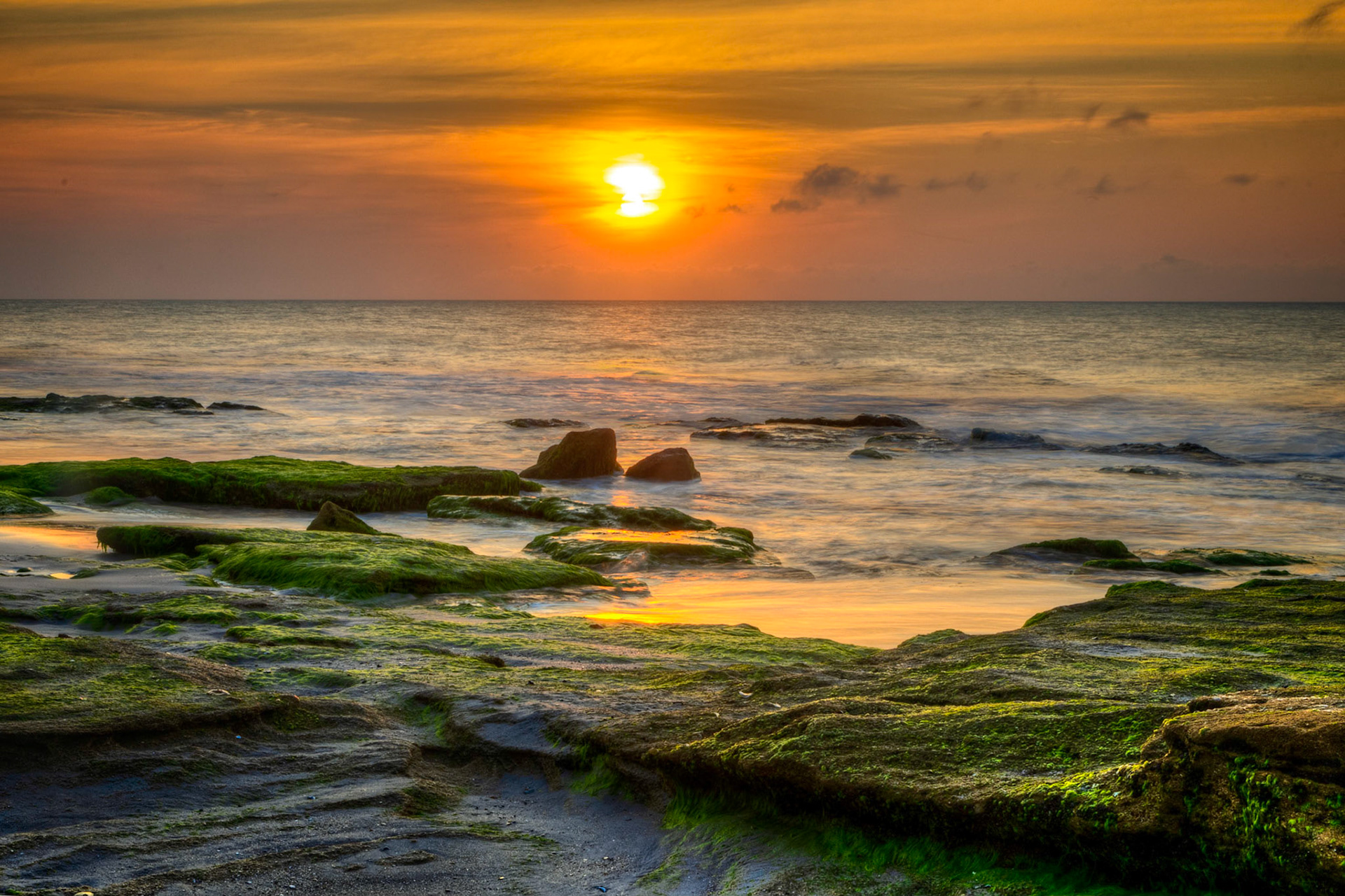 Coquina Sunrise