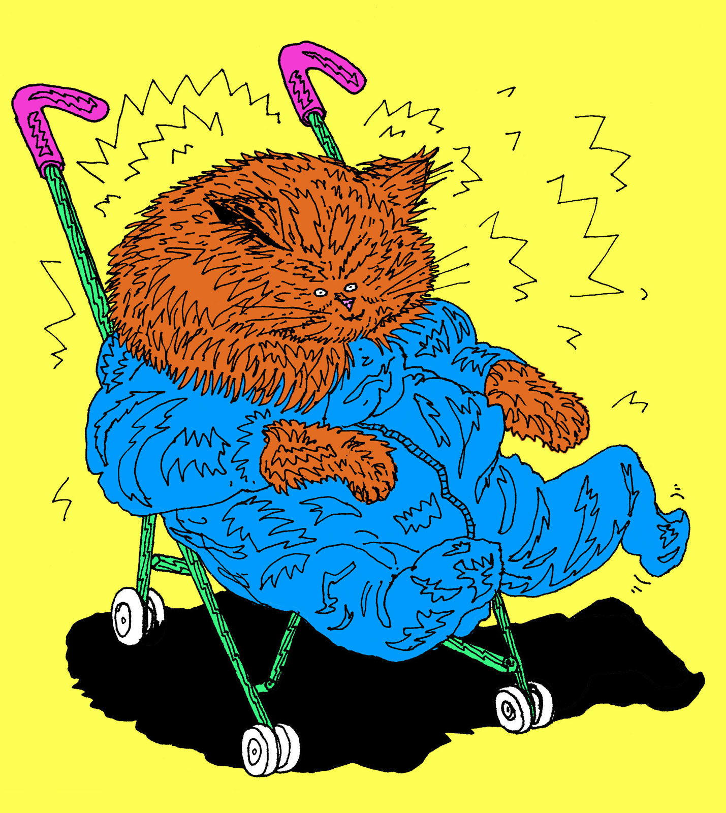 The Lost Cat for HP/De Tijd