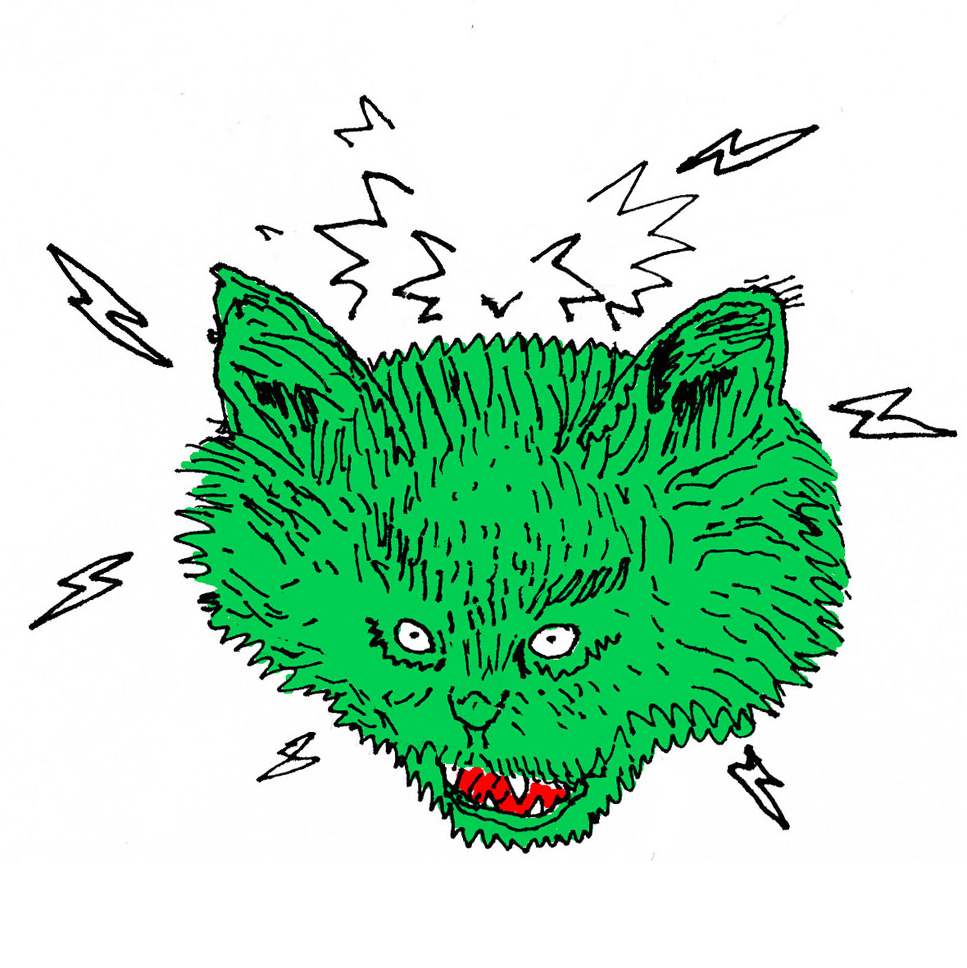 Anti social cat for Volkskrant Magazine