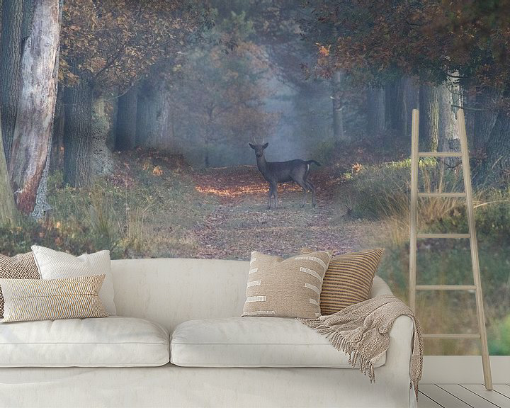 The forest as a wall paper