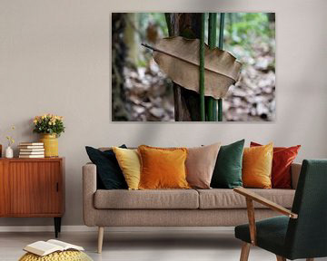 Decide the dimension you like