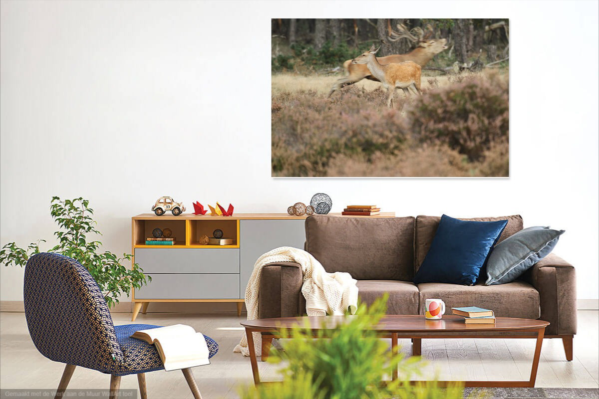 On canvas or as a photo print