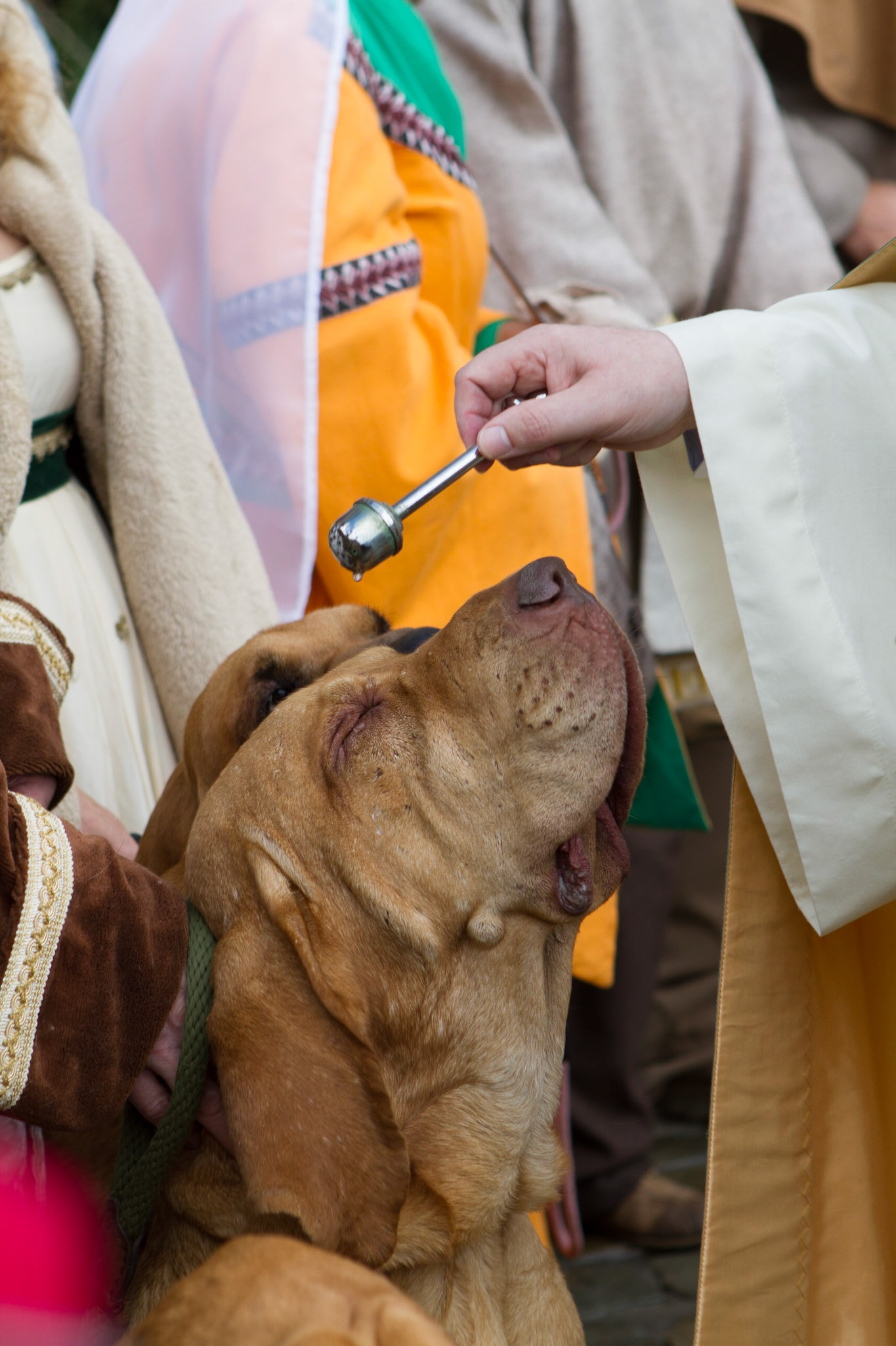 Fête de la Chasse Saint-Hubert Belgium 2015