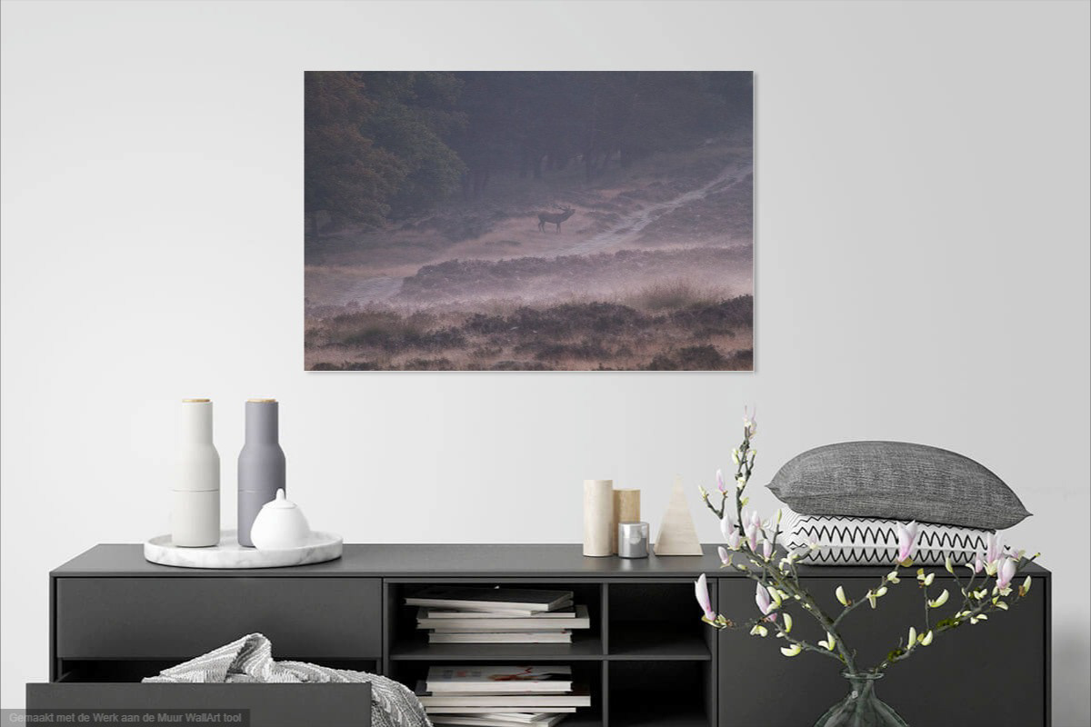 With or without a frame