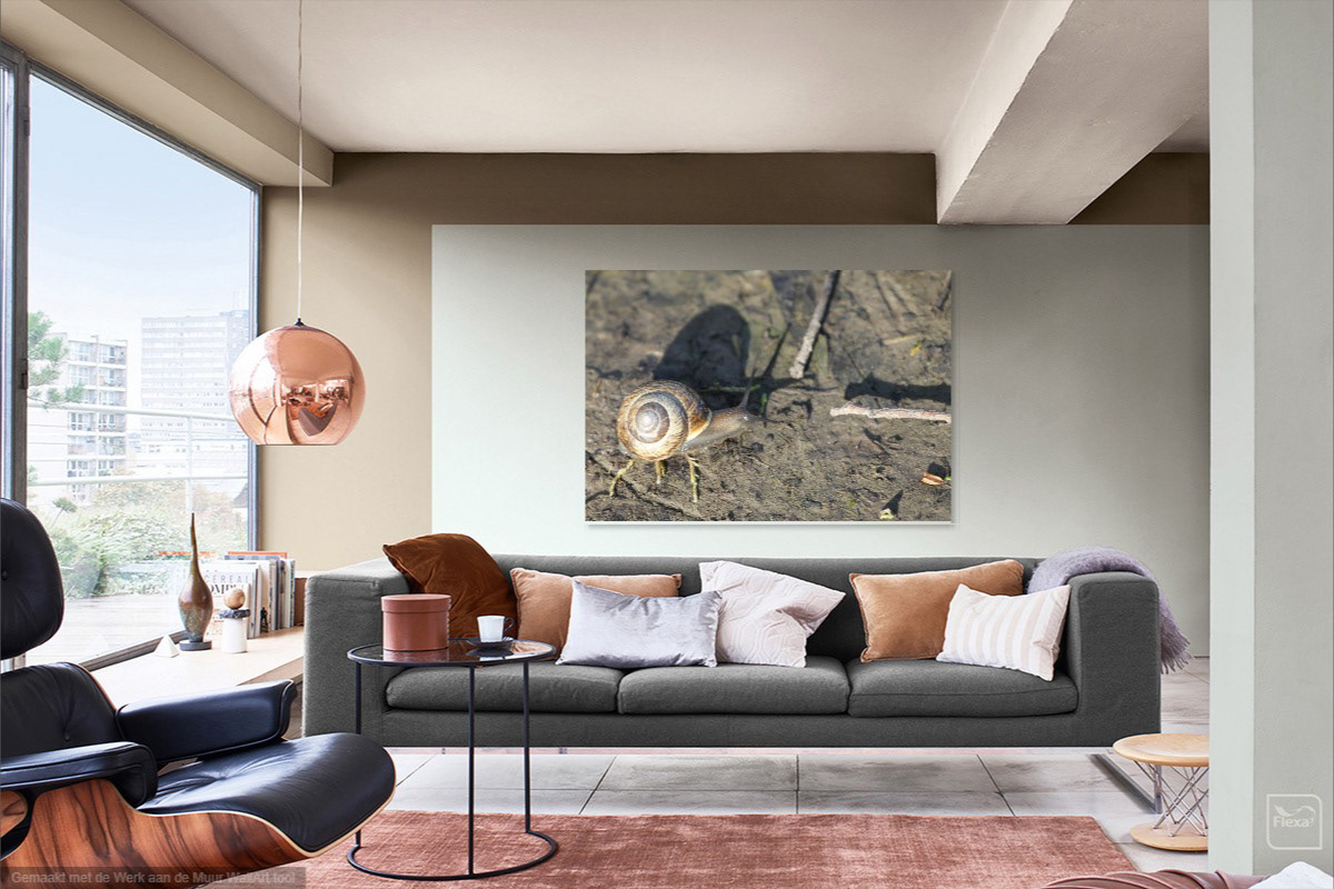 Op canvas of als fotoprint