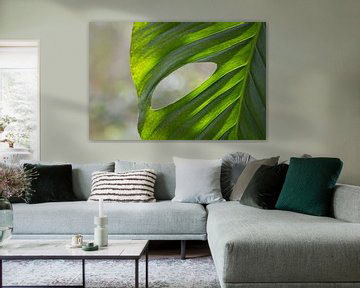With or without a frame