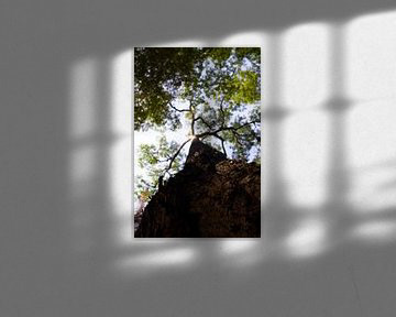 Met of zonder passe-partout