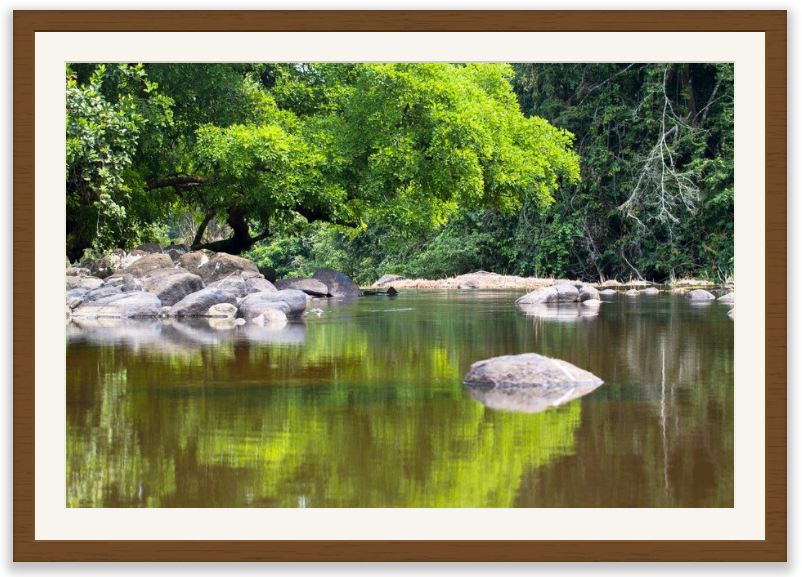 Photo print in brown wooden frame