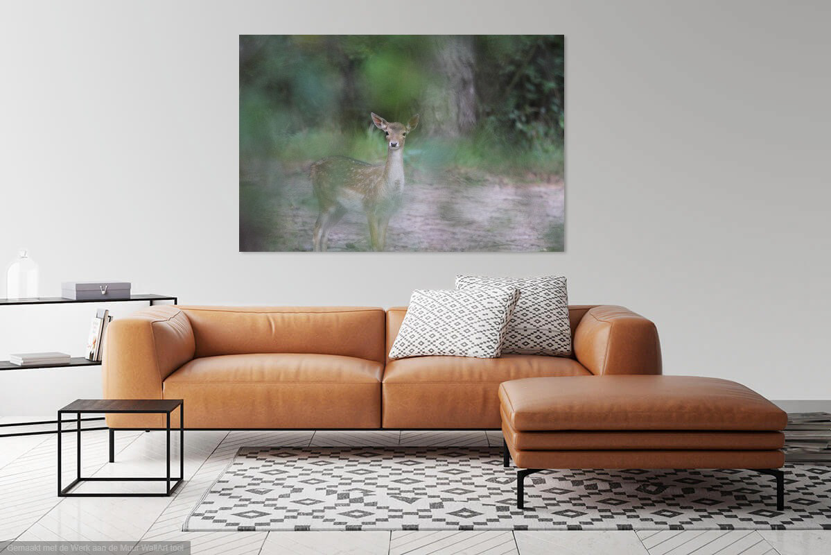 Determine the desired size