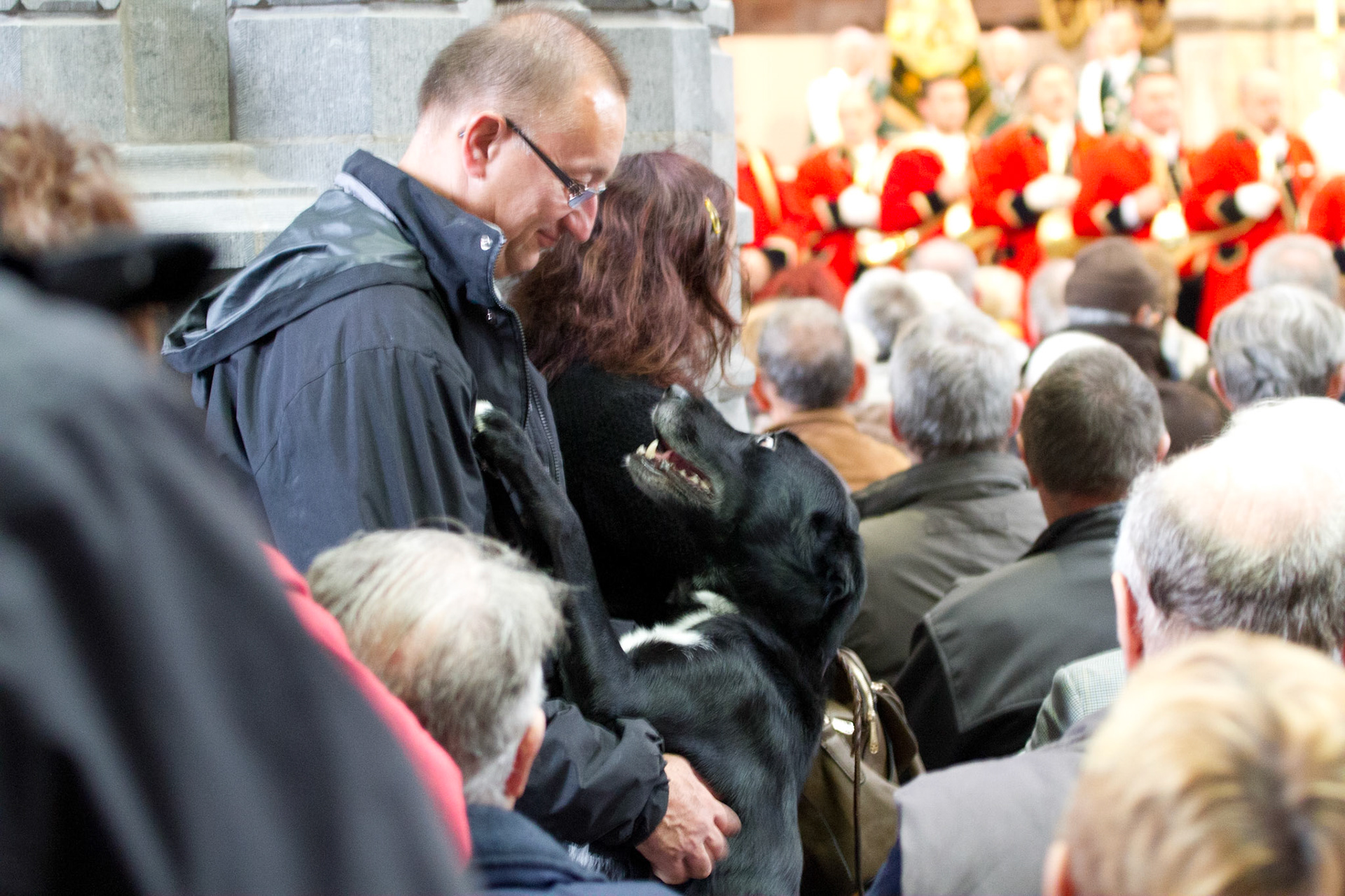 Fête de la Chasse Saint-Hubert Belgium 2015