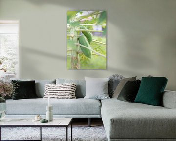 With or without a frame