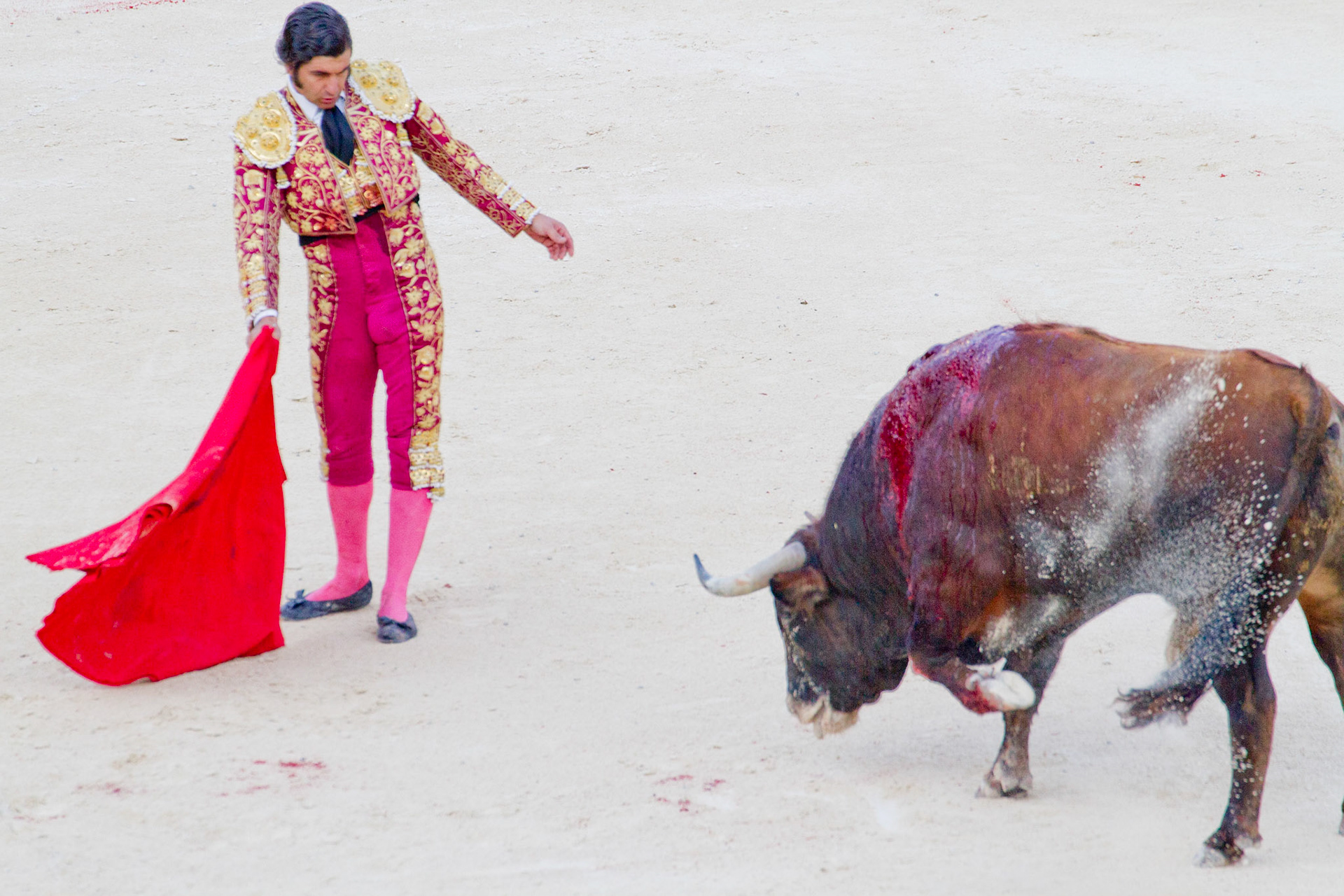 Feria de Nîmes 2015 - Mano a Mano - Morante de Puebla