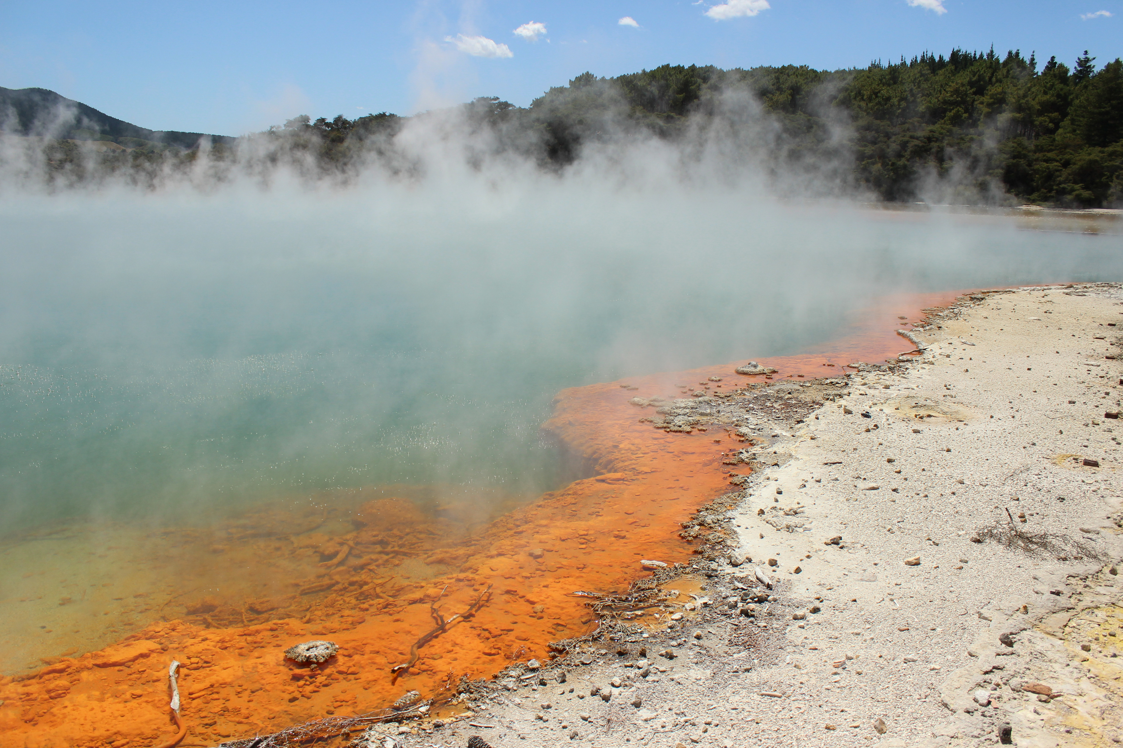 Champagne Pool im Wai-o-Tapu, Rotorua