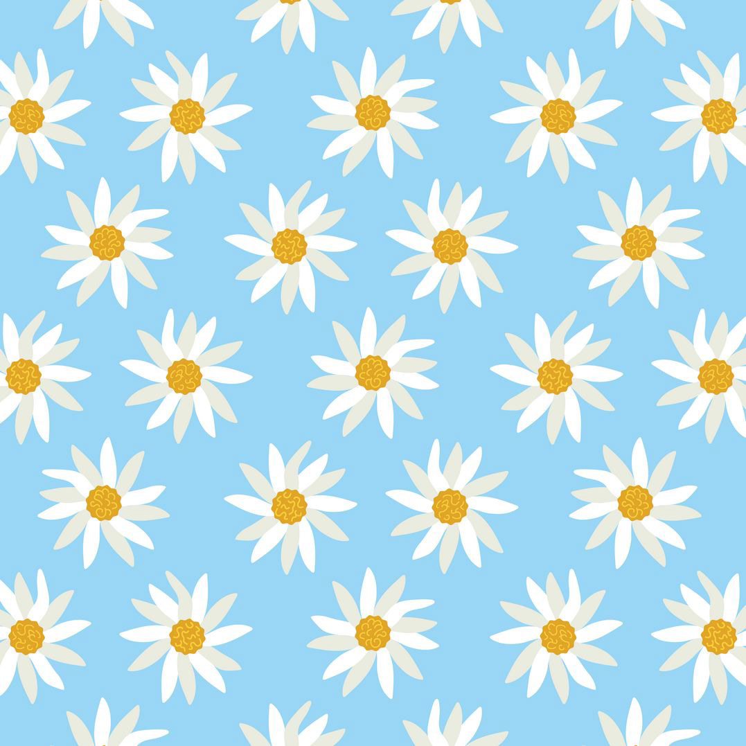 DAISYS - SKY BLUE
