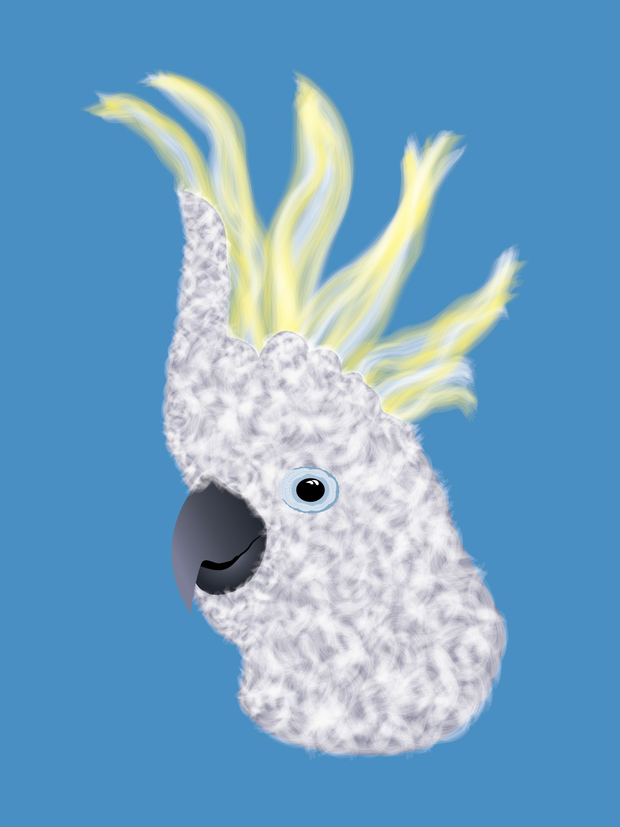 COCKATOO PARROT