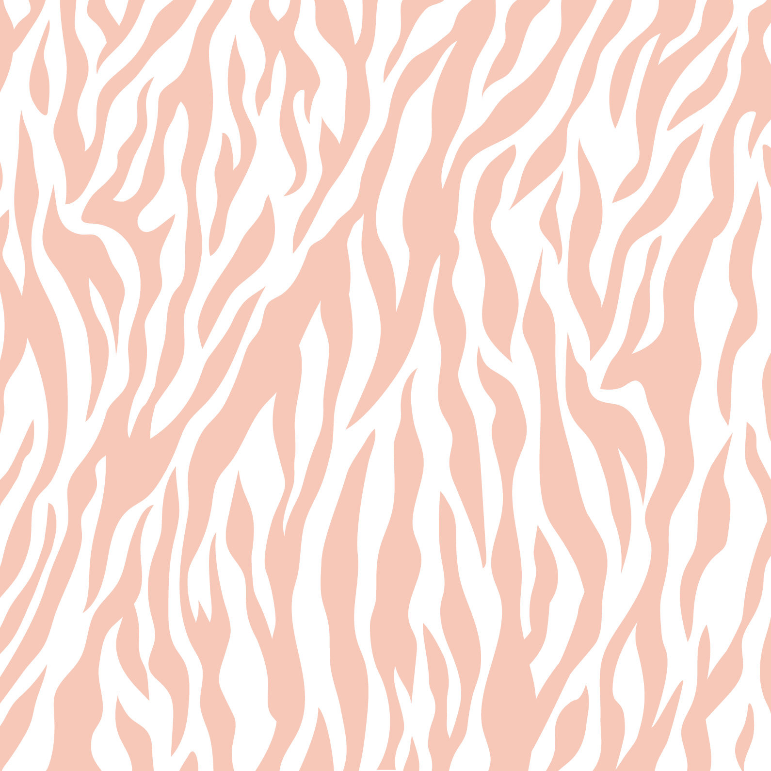 ZEBRA CORAL