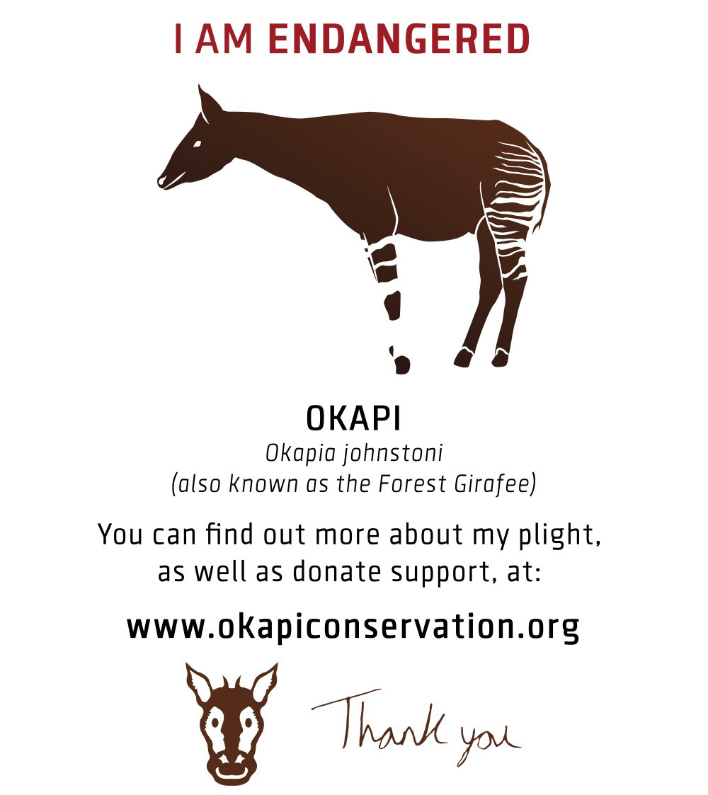 OKAPI CONSERVATION CONCEPT 1