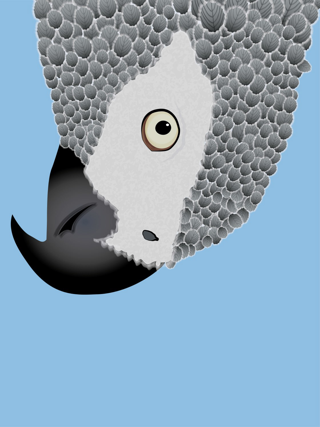 AFRICAN GREY PARROT [ON SKY BLUE]