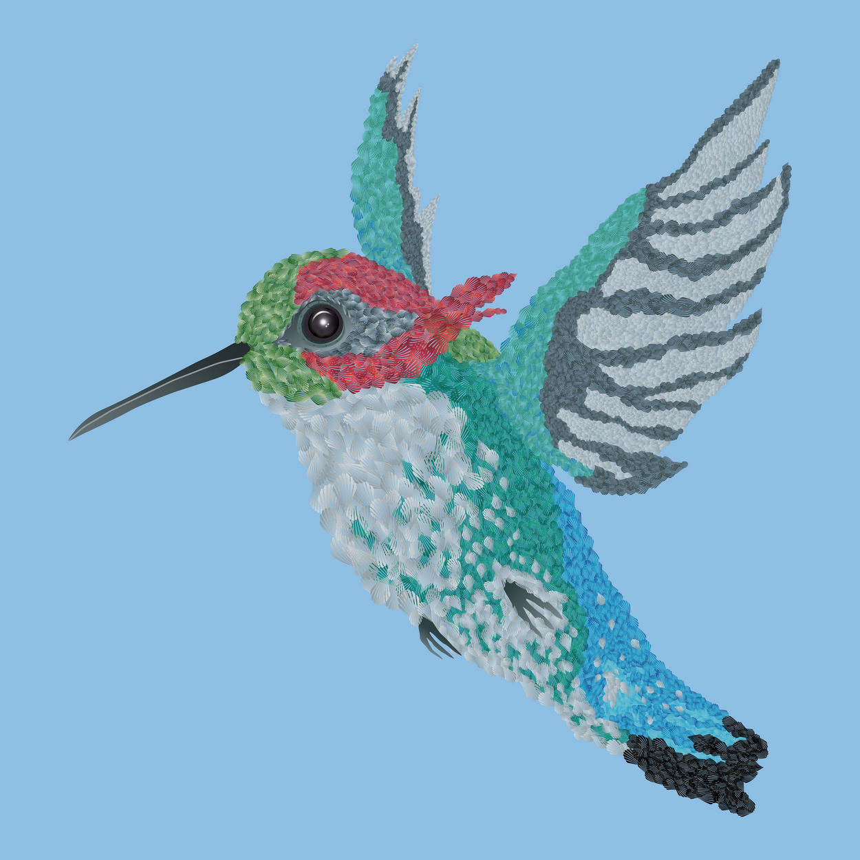 BEE HUMMINGBIRD [SKY BLUE]