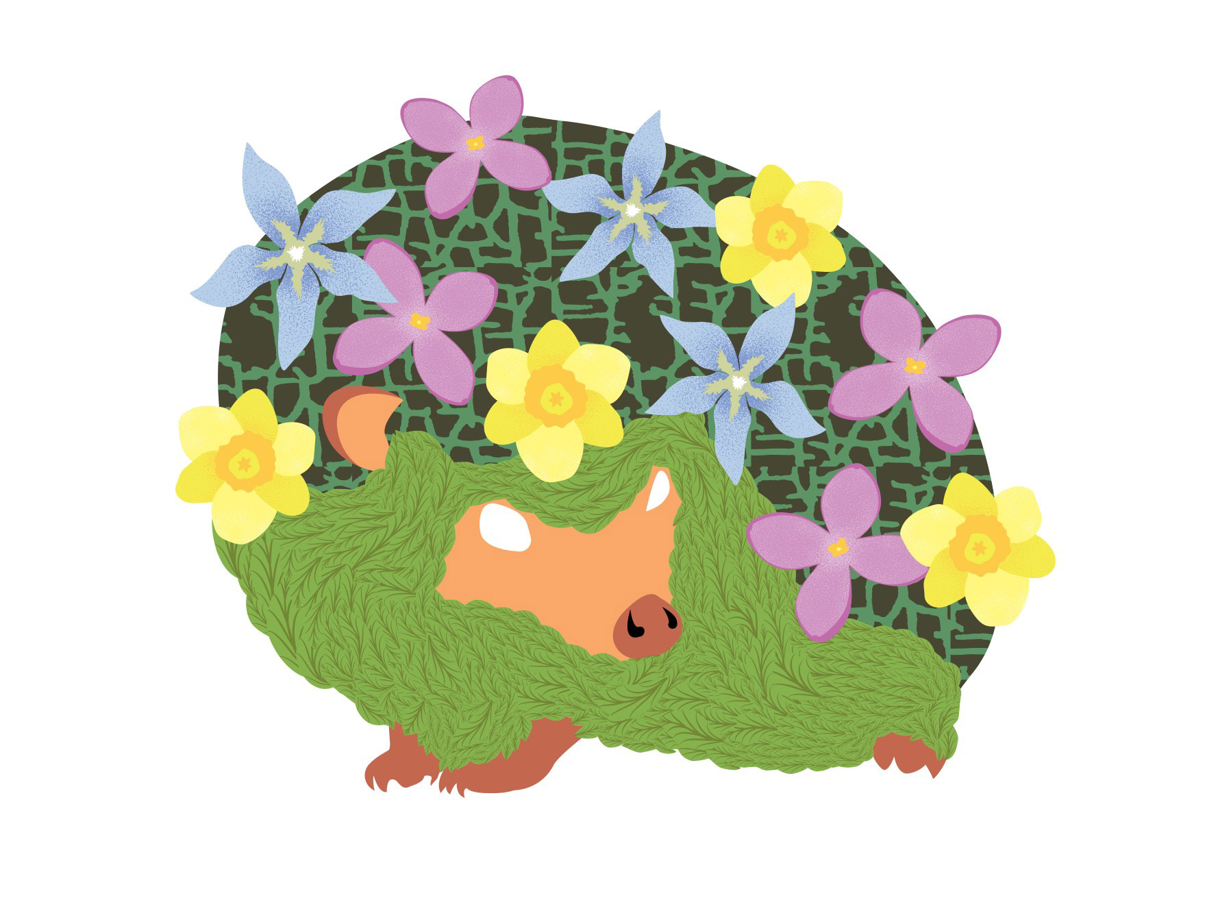 ABSTRACT SPRING HEDGEHOG