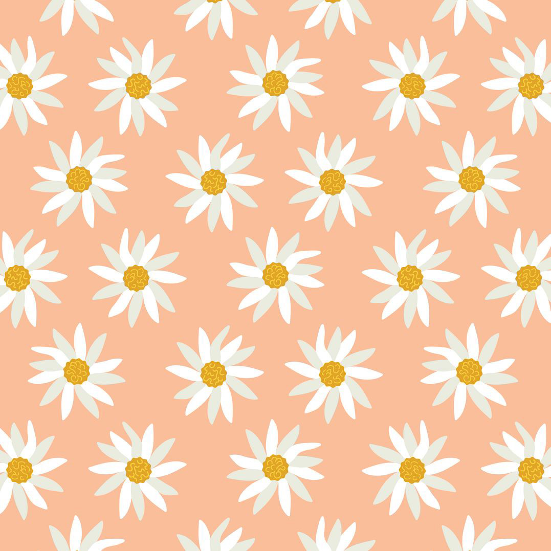 DAISYS - PEACH FUZZ