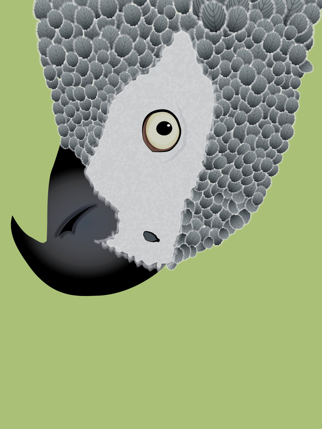 AFRICAN GREY PARROT [ON MOSS GREEN]