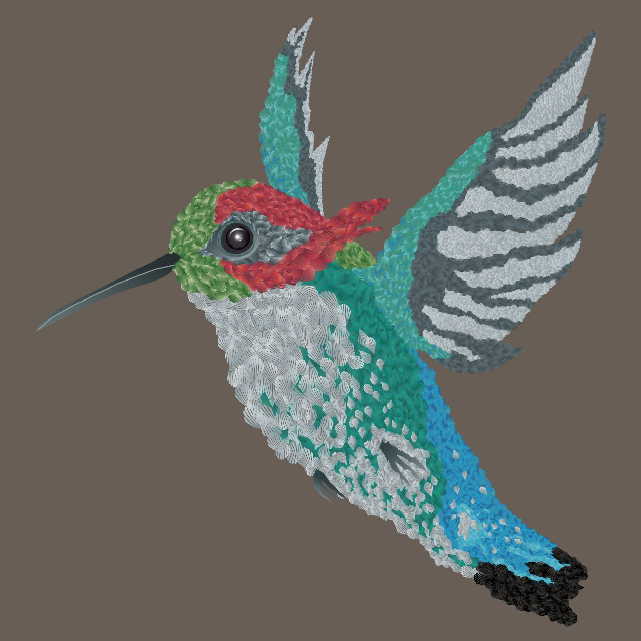 BEE HUMMINGBIRD