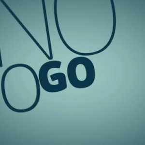 Anton Raduchits projects 2013-2011 Early professional phase